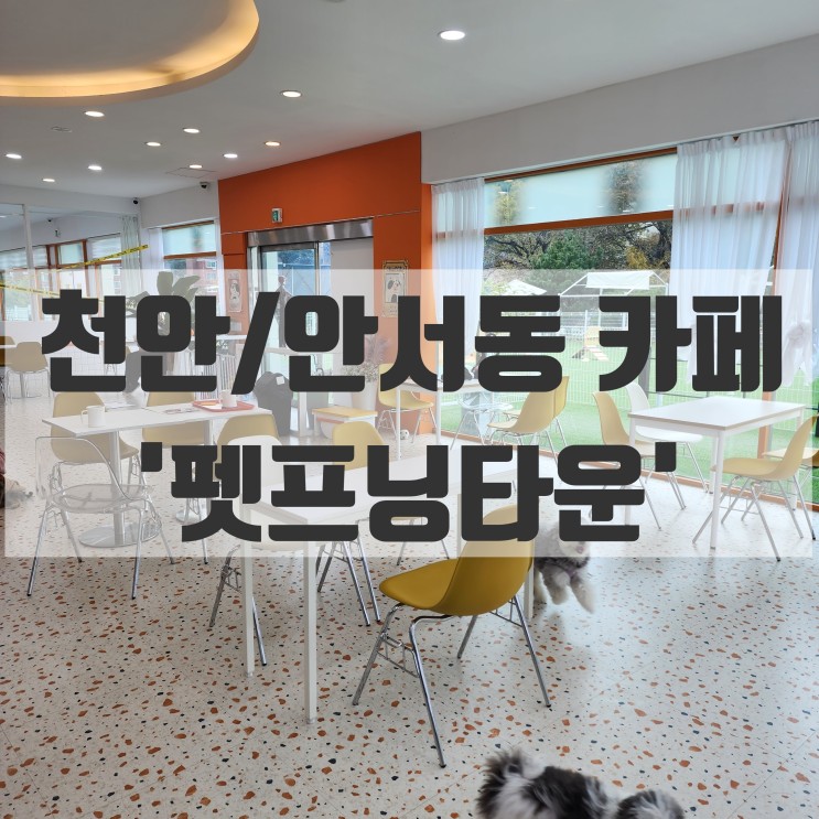 천안/안서동 카페) 넓은 외부공간 그리고 강아지유치원까지 천안애견카페 '펫프닝타운'