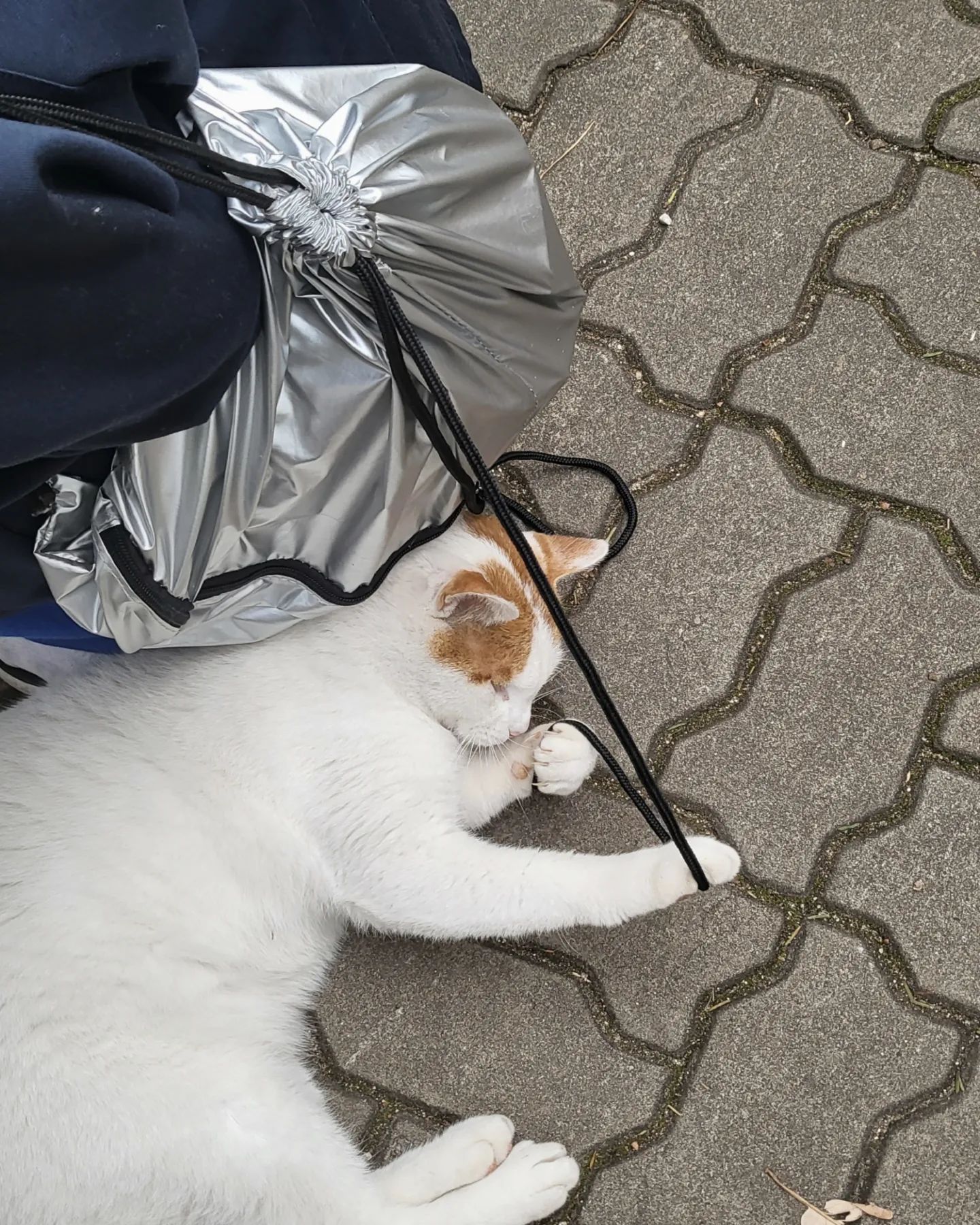 내 가방 살려 🙀
하지만 귀여우니까 욘서~