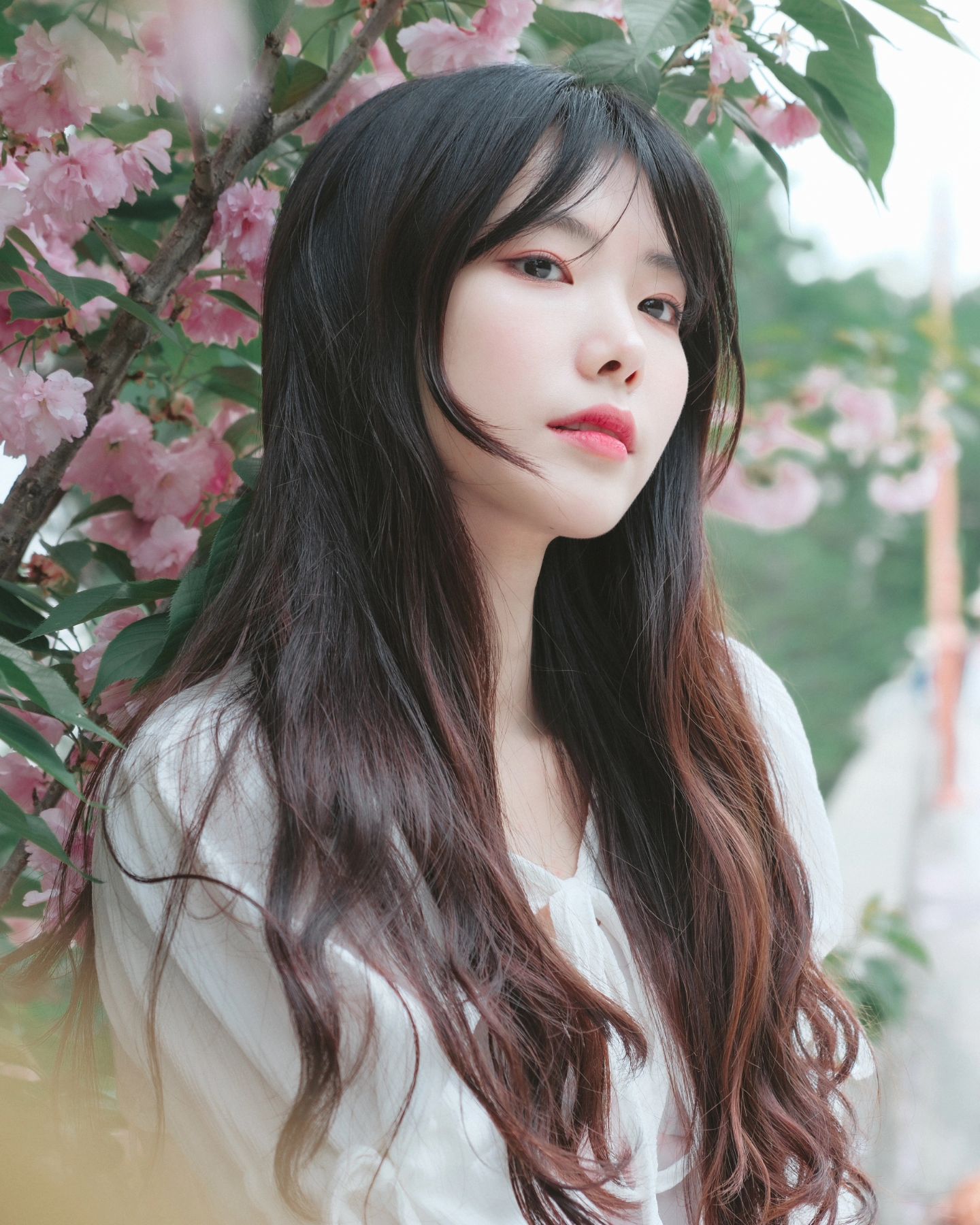 생애 첫 겹벚꽃사진 1탄🌸🩷🌸 

벚꽃보다 조금 늦게 피는만큼 
꽃송이가 겹쳐져서 더 풍성하게 예쁜 겹벚꽃🌸

사실 겹벚꽃 입장에서는 
늦게 피는것도 아니고
본인이 준비된 시기에 잘 피는거지

각자의 템포에 맞게
조급해하지말고
적당한 속도로 꾸준히 준비해
겹벚꽃처럼 만개하기를🌸

ps. 요즘 생각이 많았던 나에게 하는 얘기들🌸

P : jusphoto89.b 
M: euncharmingg 

#스냅모델
#겹벚꽃 
#스냅사진
