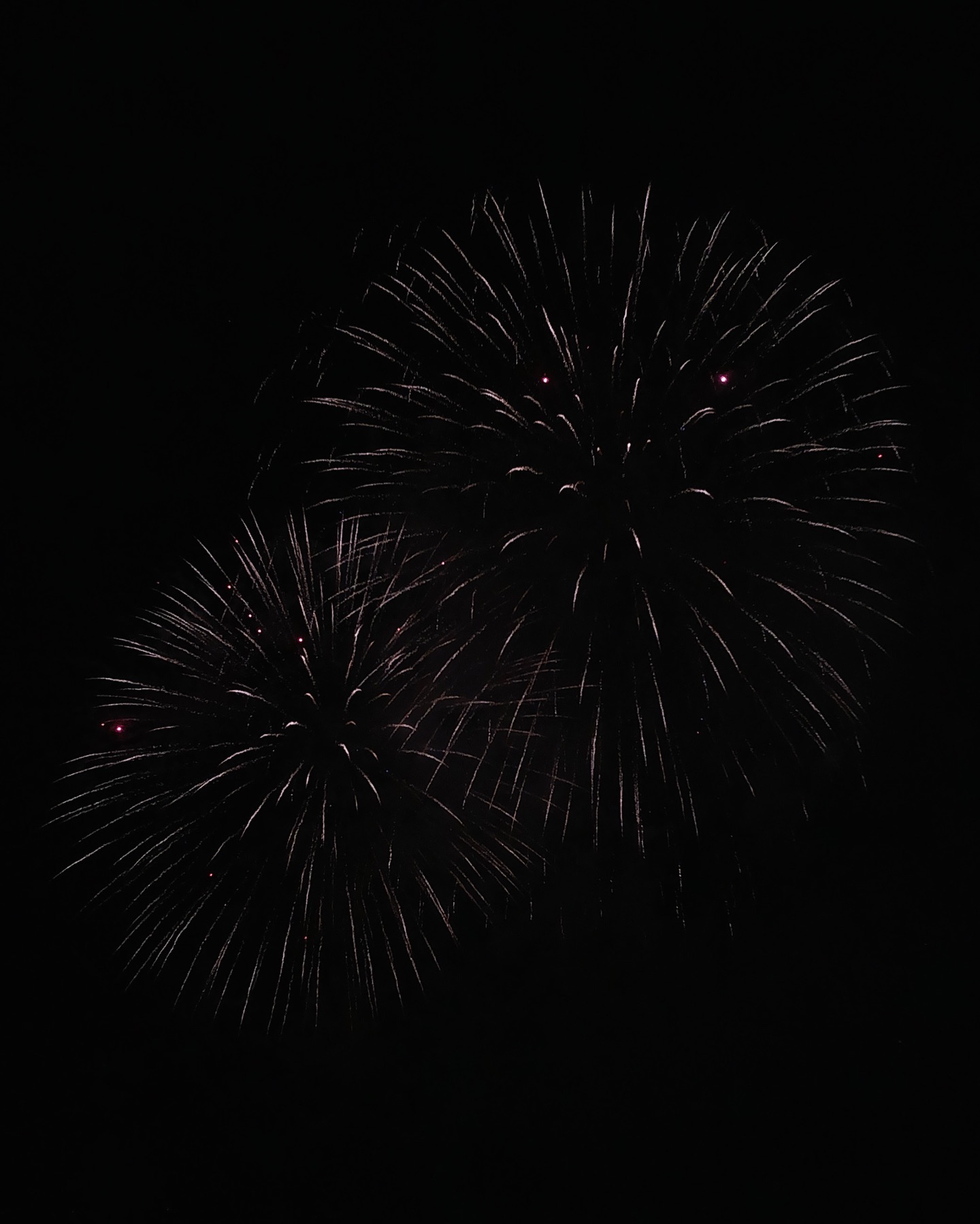 202<4 불꽃  ෆ˚*₊