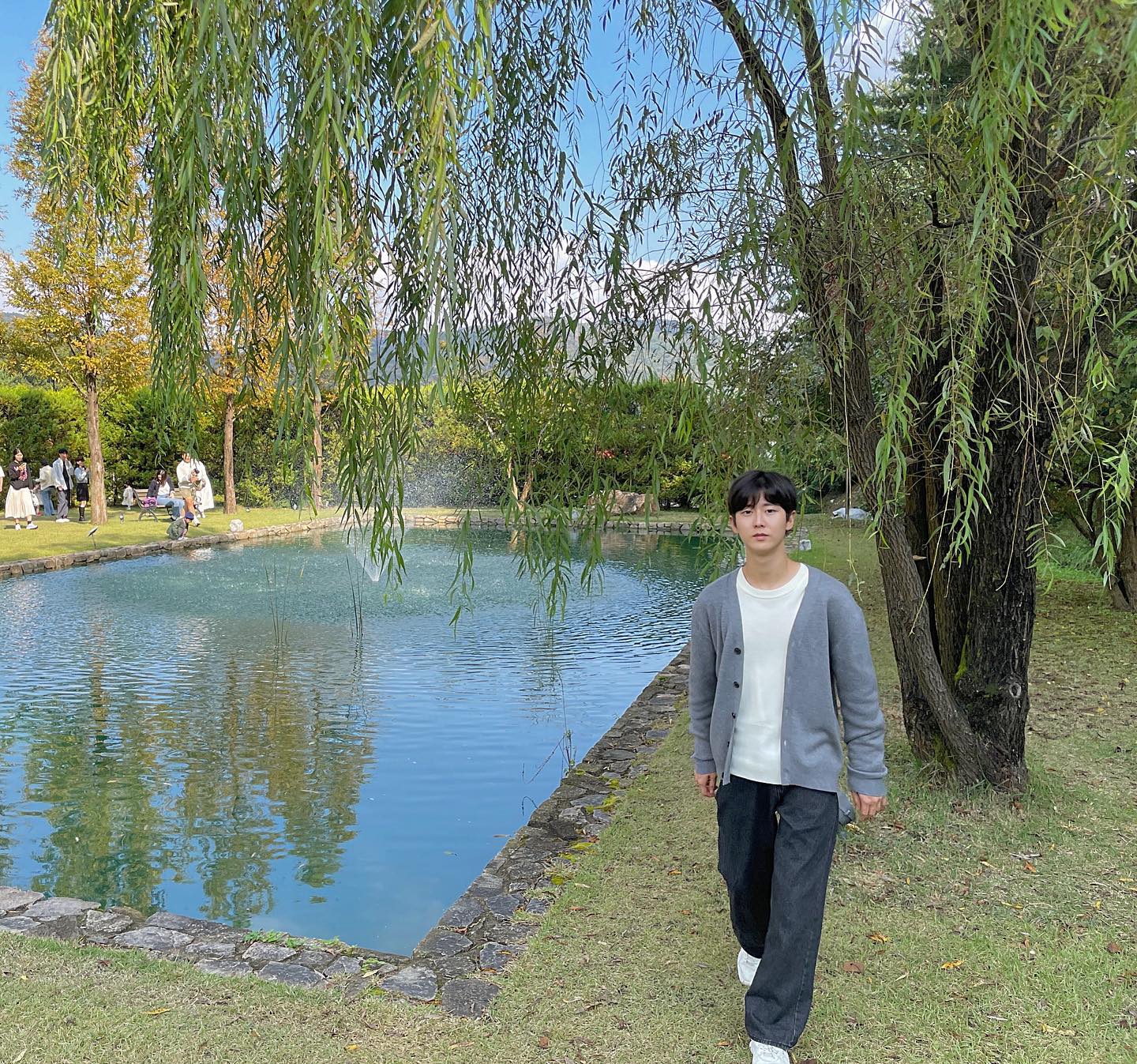 🍃