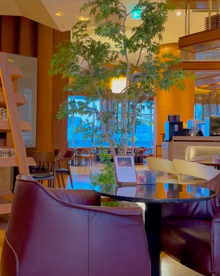 내가 좋아하는 오렌지 잔뜩🍊🍊

오렌지음료&디저트 조합은 역시 최고얌,,🫶🏻
주말에 타임스퀘어 갔다가 사람이 많아 도망온곳...
모든 카페가 북적여서 한적한곳 찾을때는 여기로⤵️

📌코트야드 메리어트 타임스퀘어 모모카페
✔️쇼핑몰 엘베랑 연결되어있어서 5층으로 바로!
✔️레스토랑이랑 같이있지만 간단한 음료만 마셔도됩니당🙌🏻

🔸오렌지 프로모션중이라 좋아하는 사람들은 여기최고🔸
 프로모션 구성: 음료 2종 & 파운드 케이크 2개[-2/29일까지]