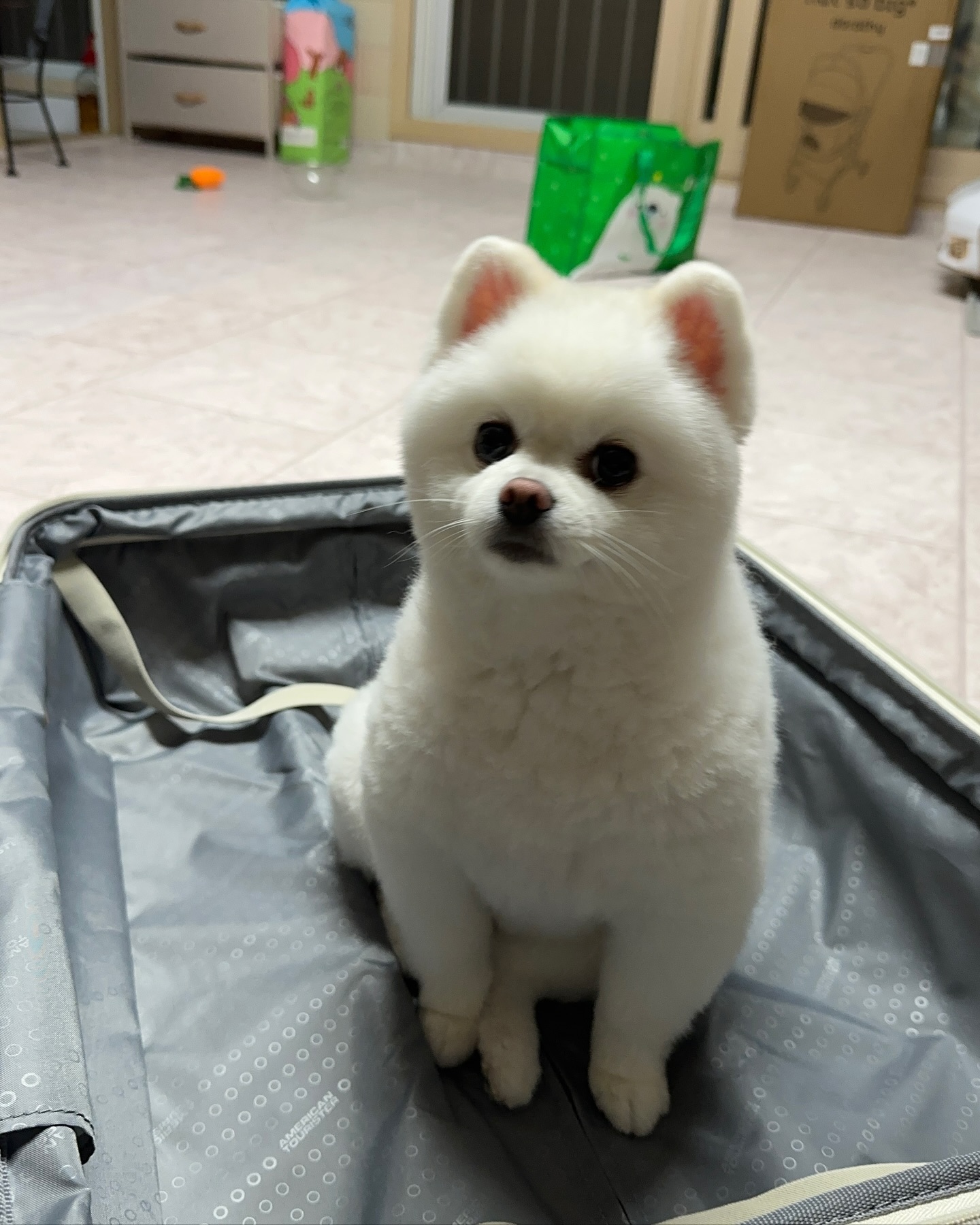 제주도①