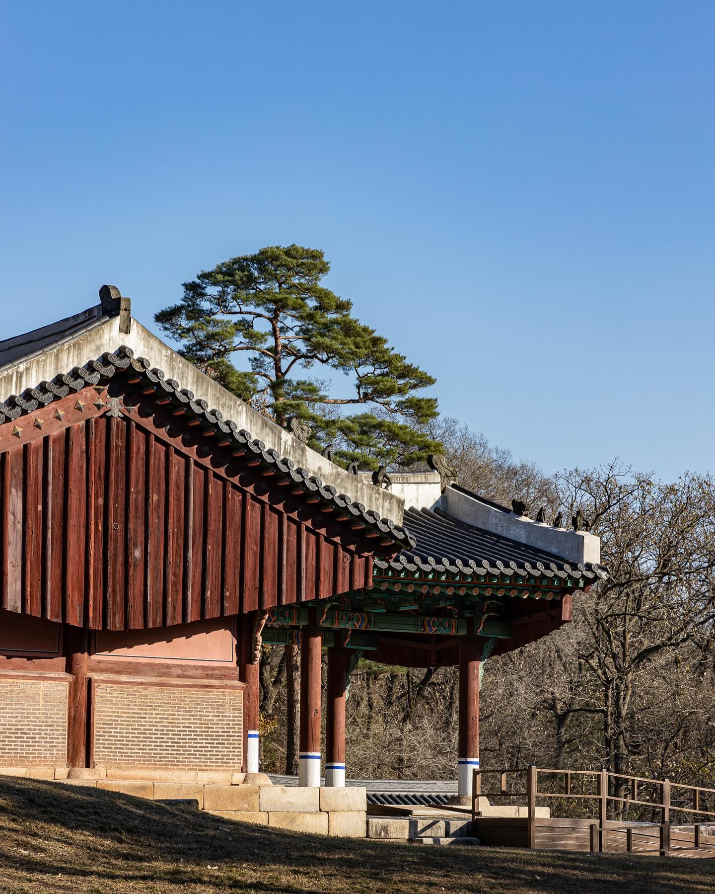 여유로운 숲길 산책, 가을 햇살을 곁들인.

제가 운영하는 사진 모임 분들과
경기도 구리시에 위치한 동구릉에 다녀왔습니다.
공기 좋은 숲길을 산책할 수 있었습니다.☺️

📍동구릉(세계문화유산)
경기도 구리시 동구릉로 197
⠀
⠀

⠀
⠀
⠀

#적절하게찰칵찰칵 #사진모임 #사진동호회 #출사모임 #동구릉 #걷기좋은곳 #캐논카메라 #캐논이미지스토밍 #가을로물든프레임 #미러리스카메라 #eosr #24105mm #85mm #사진계정 
#구리시 #인창동 #조선왕릉