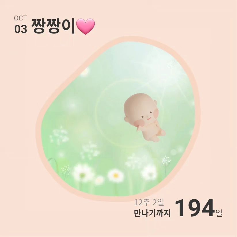 #임밍아웃👶🏻 #12w2d #용띠아기 

짜잔! 온유에게 동생이 생겼어요🩷
내년 4월에 태어날 짱짱이는 딸이에요!

초기에 이벤트가 많아서 입원을 여러 번하다가 결국 복직 한 달만에 다시 육아휴직 하게 되었어요🥲 (이해해주시고 축하해주신 분들 모두 감사드려요)

다행히 안정기인 12주까지 무사히 들어오고, 예상치 못하게 성별도 빨리 알게 되어서 임밍아웃 해봅니당😊

짱짱아! 짱짱하게 잘 붙어있다가 벚꽃피는 예쁜 봄에 만나자🌸 
우리에게 와줘서 고마워🩷