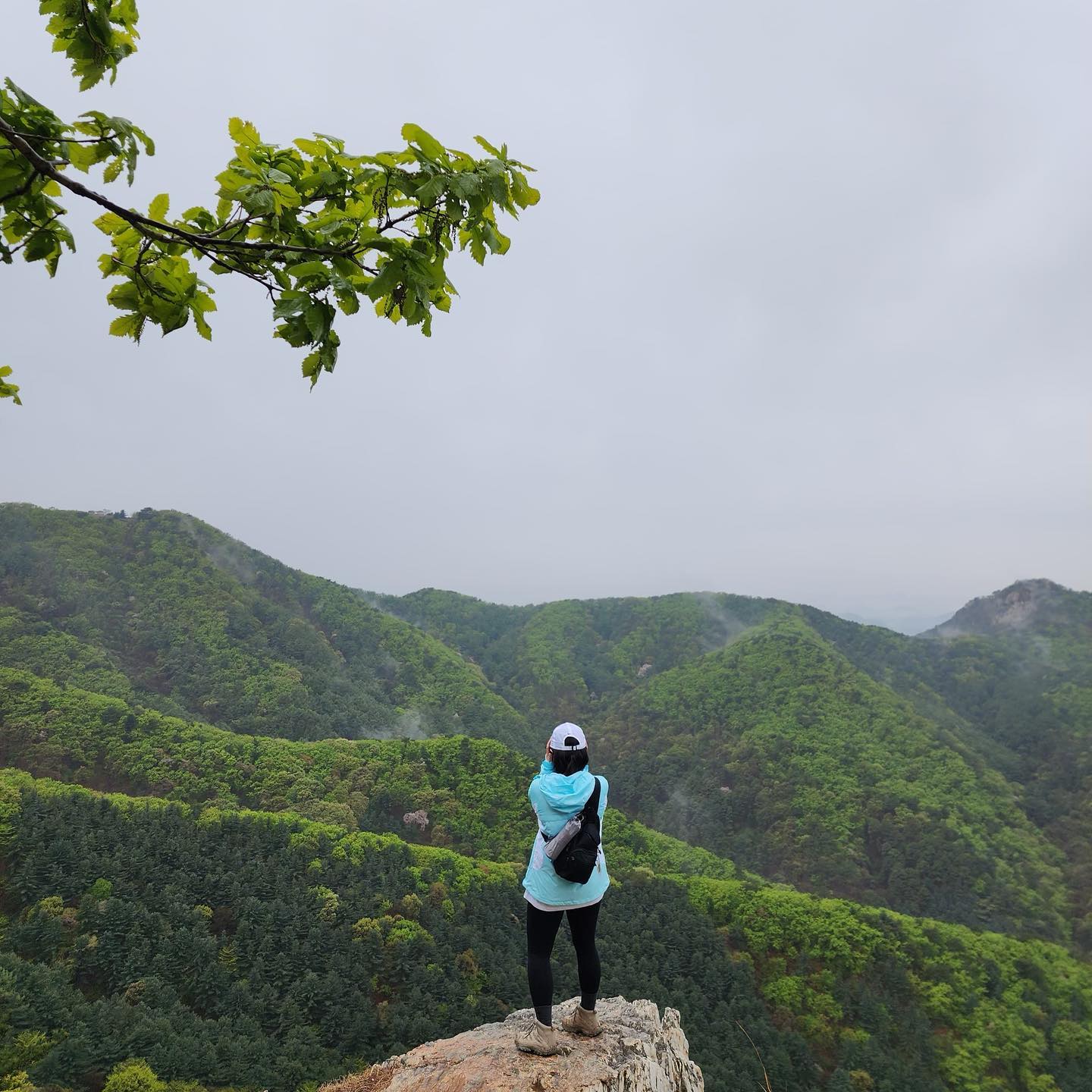 수리산 우중산행