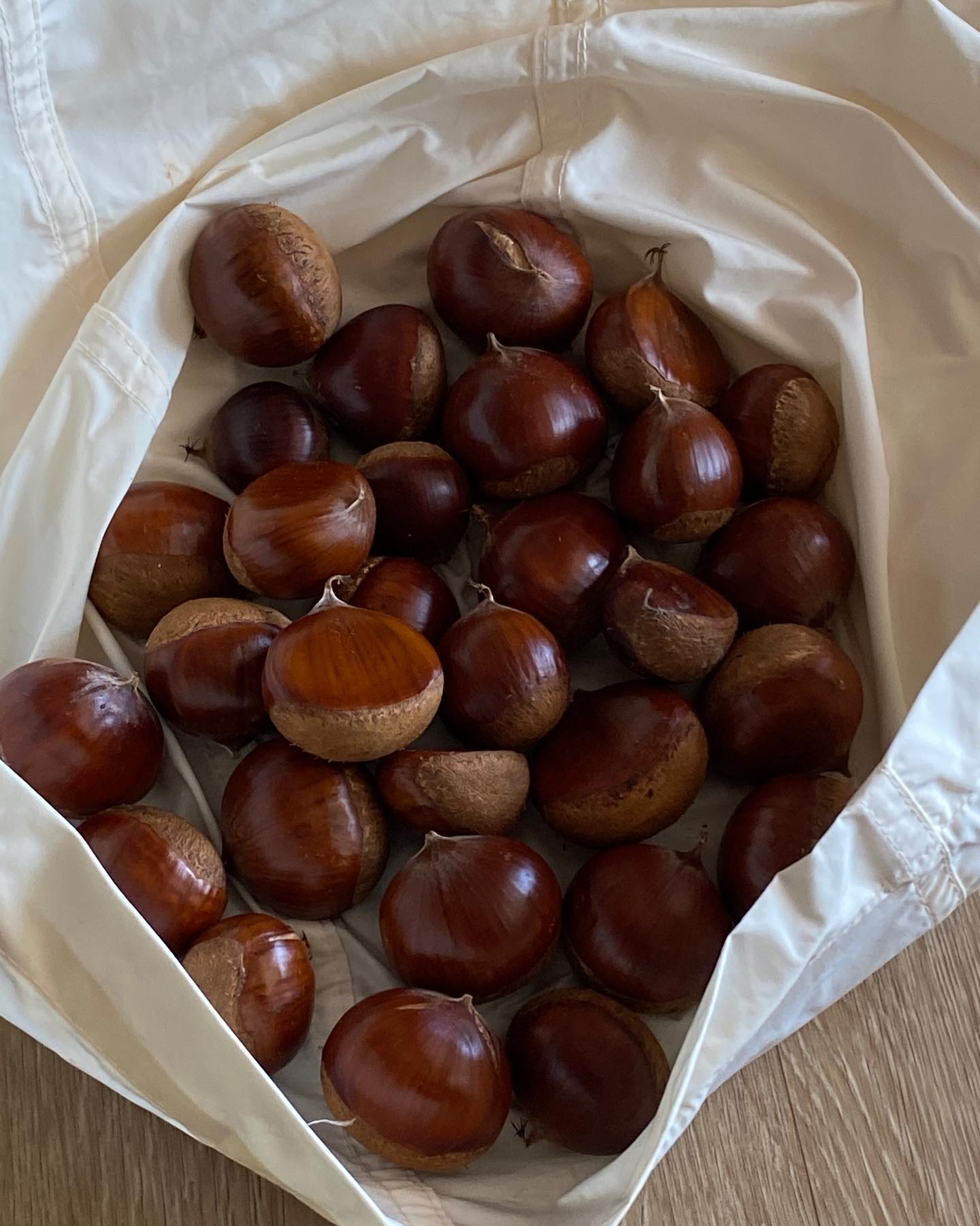 너의 밤은 얼마면 돼 ? 🌰