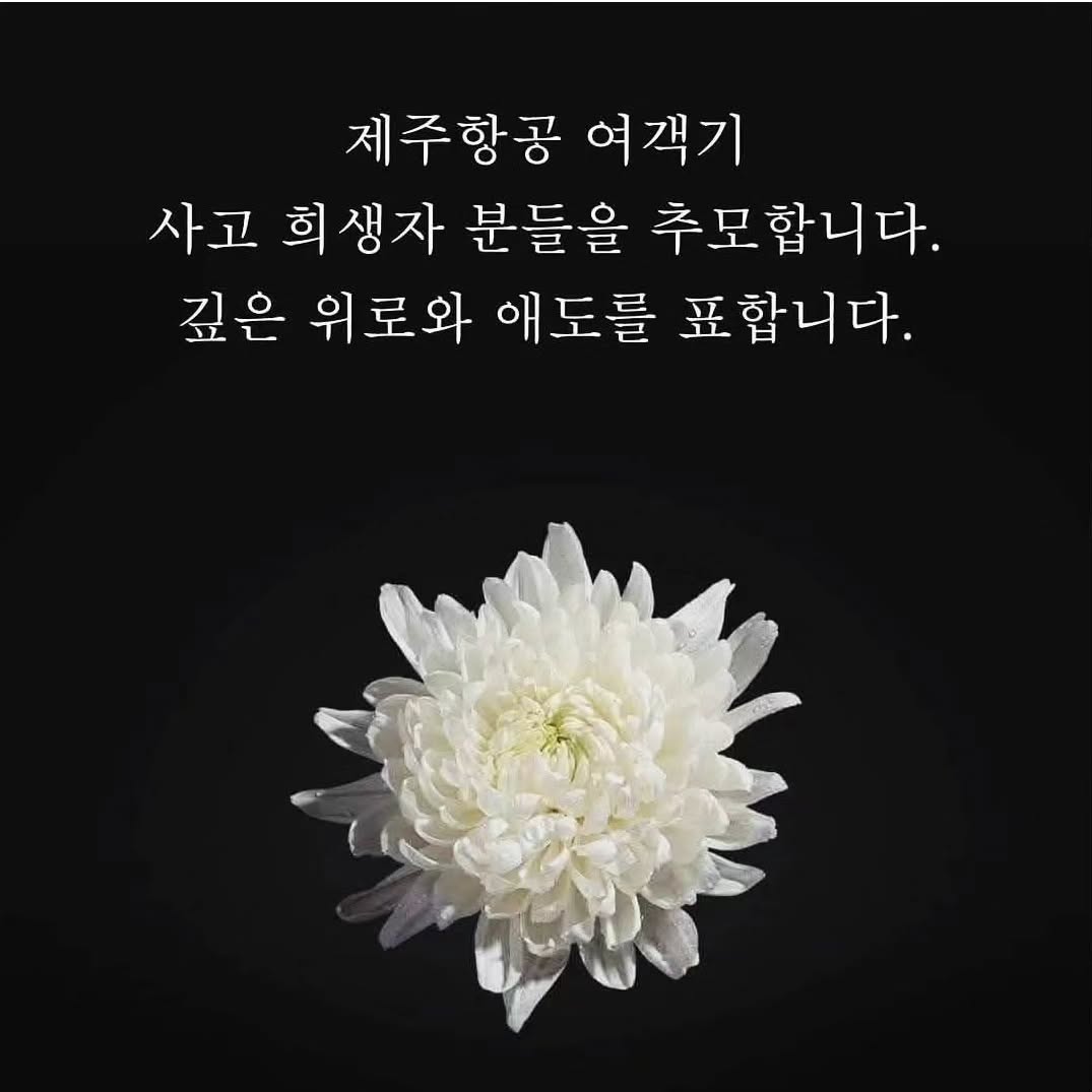 콘텐츠