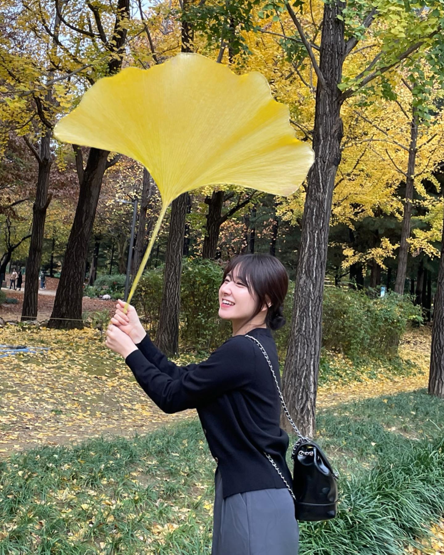 대왕단풍사진 성공💛🧡
주섬주섬 이쁜 은행잎 줍는 다영