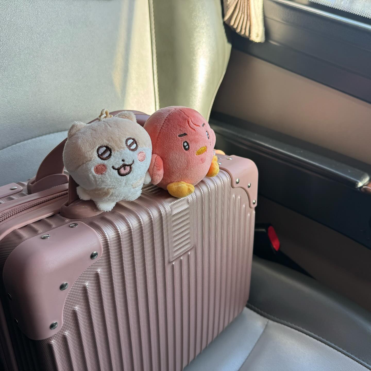#여행스타그램
그렇습니다 2023년,, 많은 일이 있었읍니다,,,
코로나동안 열심히 빼온 살이 찌고,,
취직을 하고,, 그 전에 입덕을 하고,,,
.
손오공에서 윤정한이 꽂고 나온 비녀가
일을 이렇게 크게 키울 줄은,, 몰랐음,,ㅋ
.
기존의 여행메이트 미니를 잠시 뒤로한 채
쪼꼬미 키링 미니와 겸주작이랑 함께했더요,,
그리고 어느 순간 내 맘에 안착하더니 
나도 모르게 내 최애가 되어버린 문준휘씨도,,
.
크리스마스에 다녀온 여행이라 
한여름의 크리스마스 느낌으로
크리스마스 네일도 하고~~ 햅비🎄
.
늦덕끼리 여행가서 열심히 여기저기 인형두고 찍고
우리 모습도 찍고 부랴부랴 바삐 댕김ㅋㅋㅋㅋ
.
겸주작 엉덩이가 뚠뚠해서 어디든 잘 서고 좋아요
은젠가는 최애 인형도 들고 댕겨야지,, 호호
.
.
.
#일상 #일상스타그램 #99 #스물여섯 #봄만스물여섯 #여행 #동남아 #동남아여행 #라오스 #비엔티안 #방비엥 #루앙프라방 #꽝시폭포 #덕질 #덕질스타그램 #SVT #세븐틴 #도아해 #겸주작 #💎 #✈️ #사진 #우정 #우정스타그램 #덕질메이트