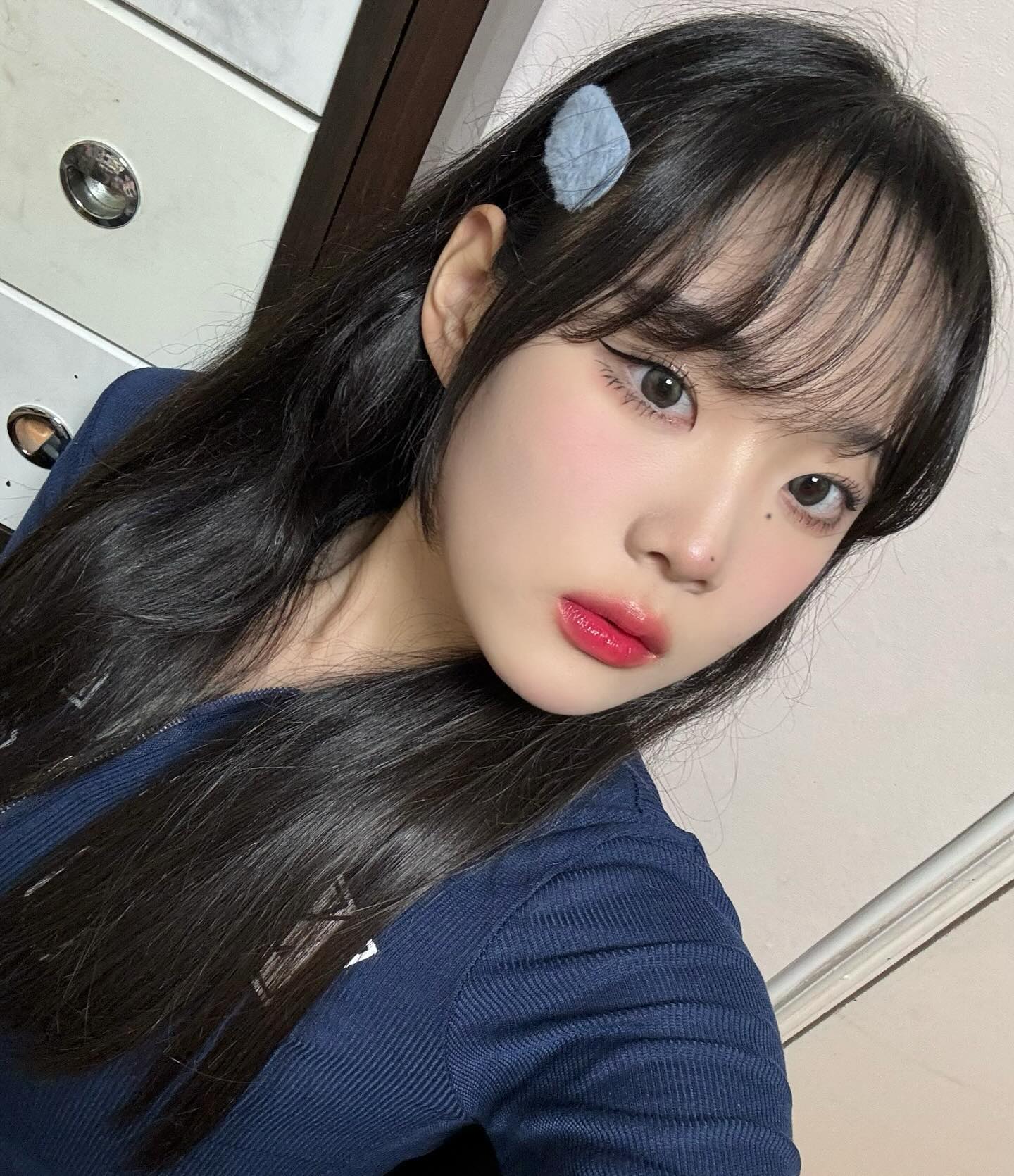 식혜 먹은 고양이 속