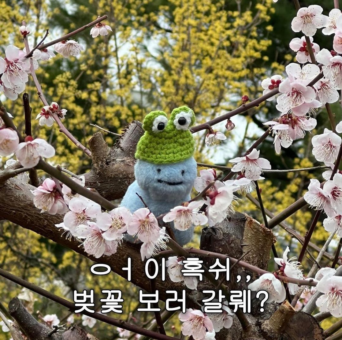 쟈기야 왜케 칭얼거려; 🌸