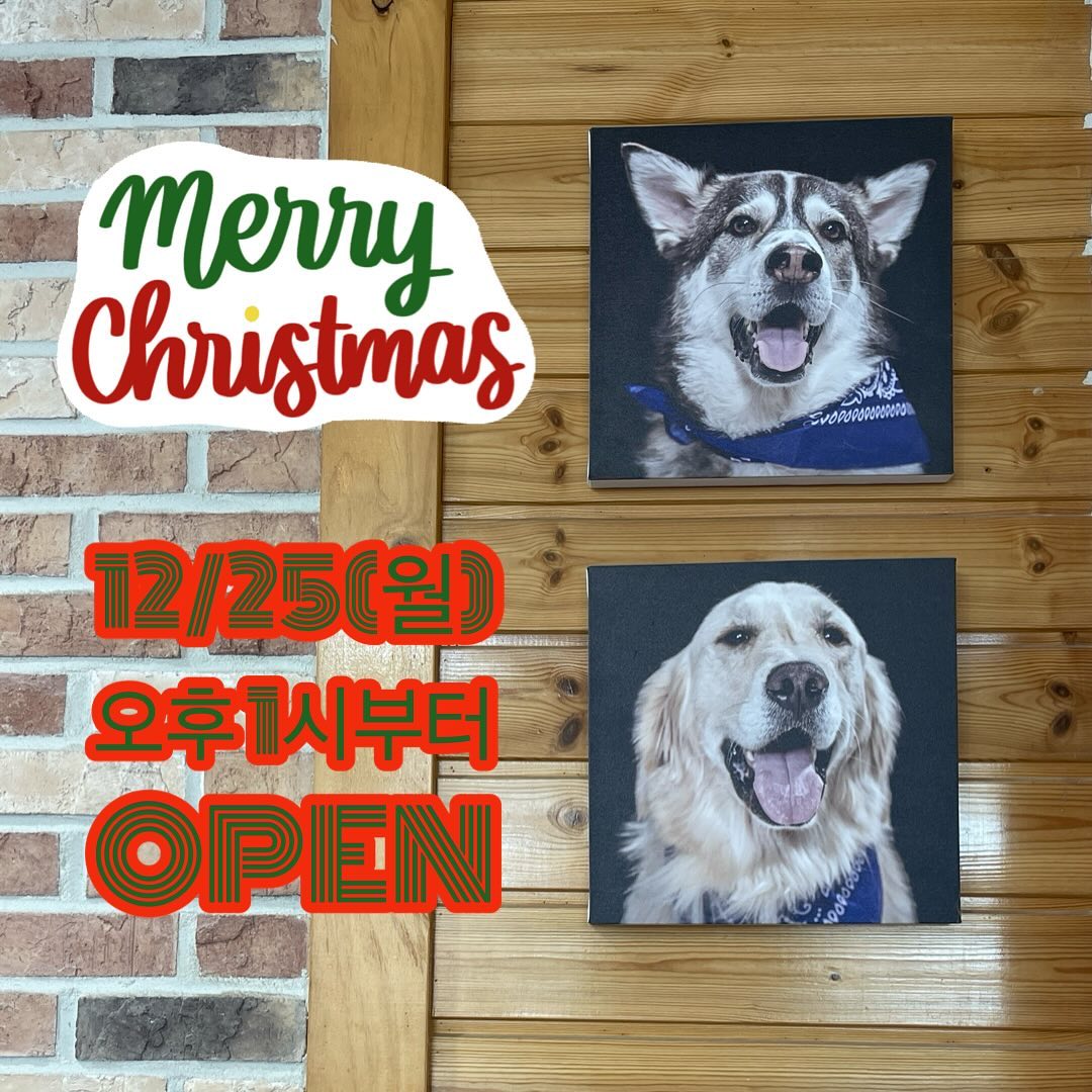 크리스마스 12/25 (월)
오후 1시부터 OPEN

#이누인 #대전애견카페 #애견카페 #공주애견카페 #동학사카페 #동학사애견카페 #동학사가볼만한곳