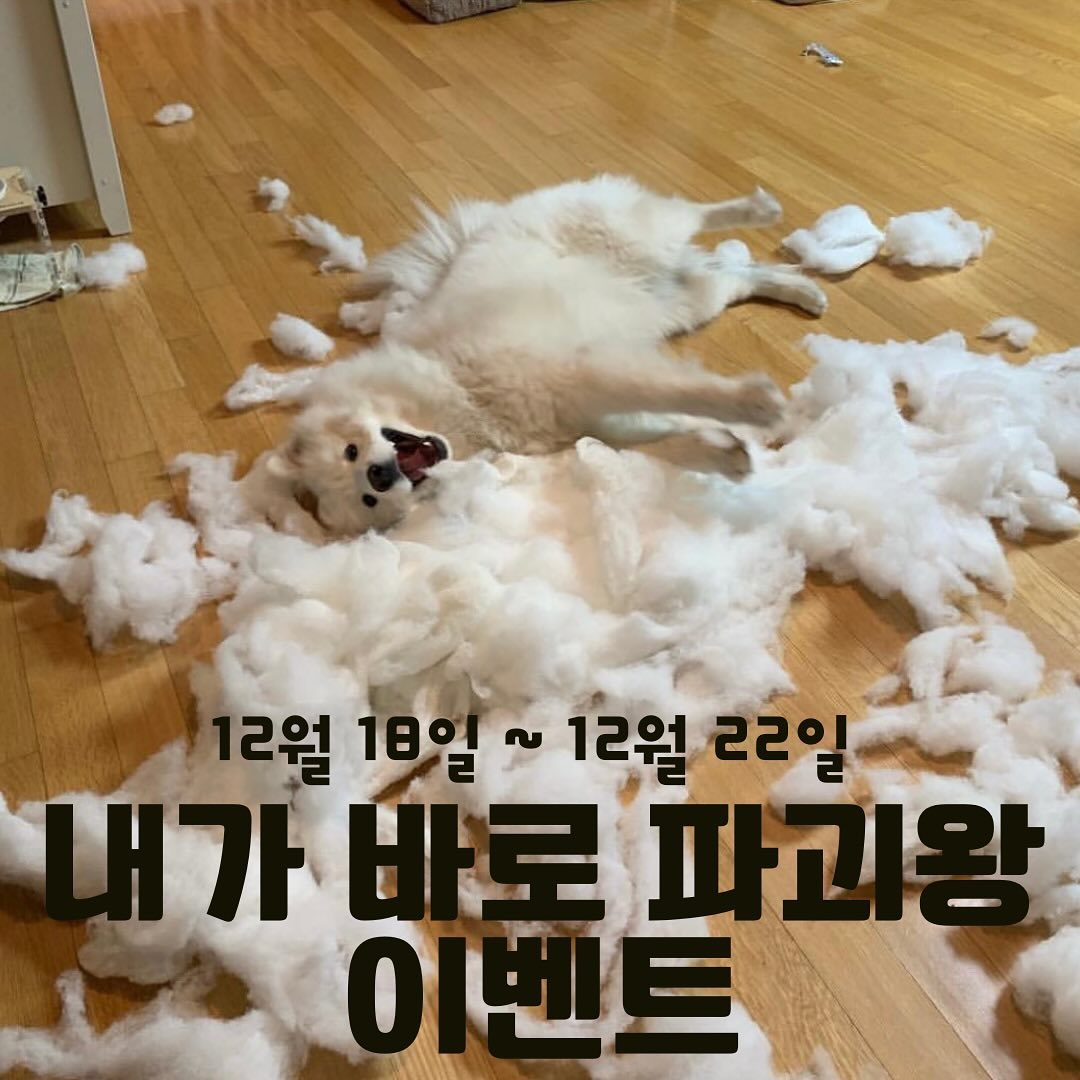 😈 내가 바로 파괴왕 이벤트 😈

개튼튼 장난감 HAMOR 공구를 진행하게 되었으니
파괴왕 친구들을 소환해봐야겠죠? 크크😈😈

➡️ 우리집 강아지가 방석, 소파, 켄넬, 장난감, 벽지 등 찢고 터뜨리고 파괴시켜놓은 사진 또는 영상을 자유롭게 올려주세요 :)

➡️ 스토리 가능, 게시글 가능! 

‼️ ___bbang_9__ 필수 태그/ #내가바로파괴왕 #빵구야나이벤트참여했어 해시태그 꼭꼭 필수!!

➡️ 이벤트 게시글에 참여완료 댓글 꼭!! 달아주세요 

🎁 3견의 파괴왕을 뽑아서 오래 물고 뜯고 먹을 수 있는 엘리야 간식 치킨 or 오리 롤을 보내드릴게요 :)
🎁 HAMOR공구를 스토리 및 친구태그로 소문 내주시는 분도 추첨해서 보내드려요 (당첨자는 참여율에 따라 달라질 예정 키킥!)

이벤트 기간 : 12월 18일 ~ 12월 22일 
당첨자 발표 : 12월 25일 

#빵구네공구 #빵구네이벤트 #내가바로파괴왕 #파괴왕이벤트 #강아지장난감공구 #아모장난감 #튼튼한장난감