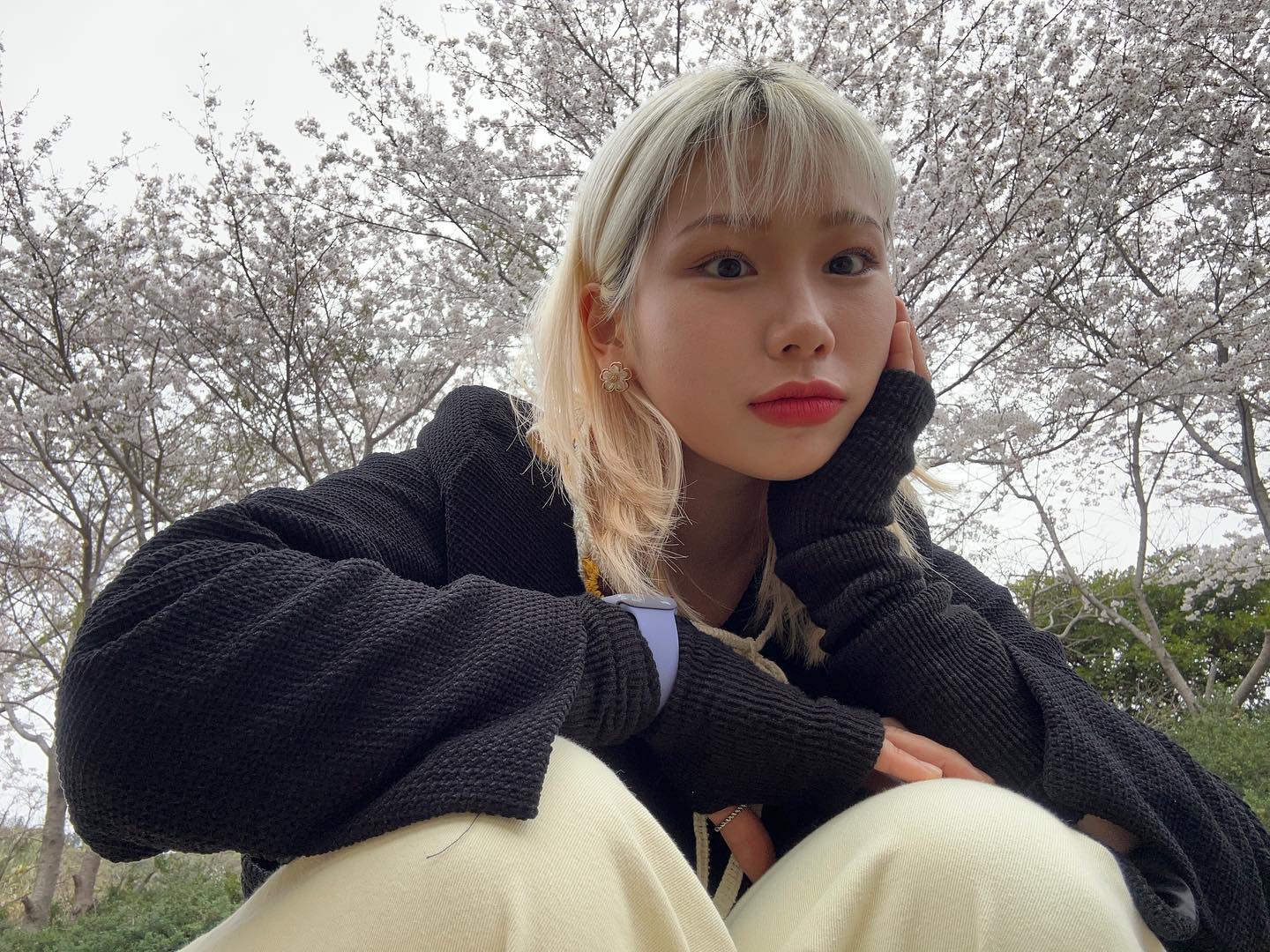 각자에 셓카타임중입니다 방해금지