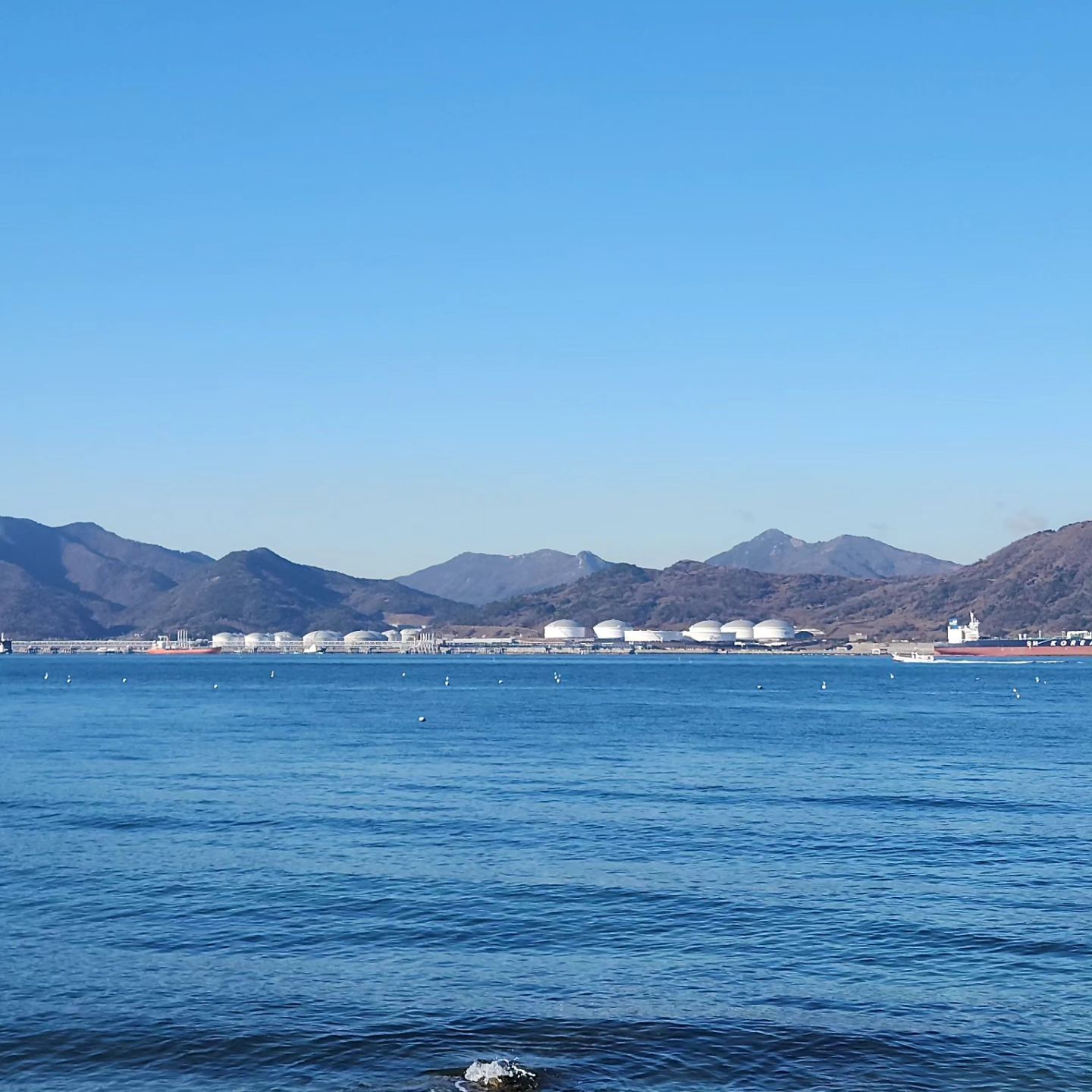 1월8일 월요일
남해구판장 11시부터 2시까지 영업합니다.
주말동안 정말많은 분들이 찾아주셨습니다.
여사장의 부재로 혼자서 운영을 해서 미흡한점이 많았음에도
1시간씩 기다리다가 맛있게 먹었다고 인사를 해 주시는
마음에 제가 더 감사했습니다.
으늘도 최선을 다하겠습니다.
금요일 교통사고로 인해 이번주는 점심영업만 하고
치료에 집중을 해야할거 같습니다.