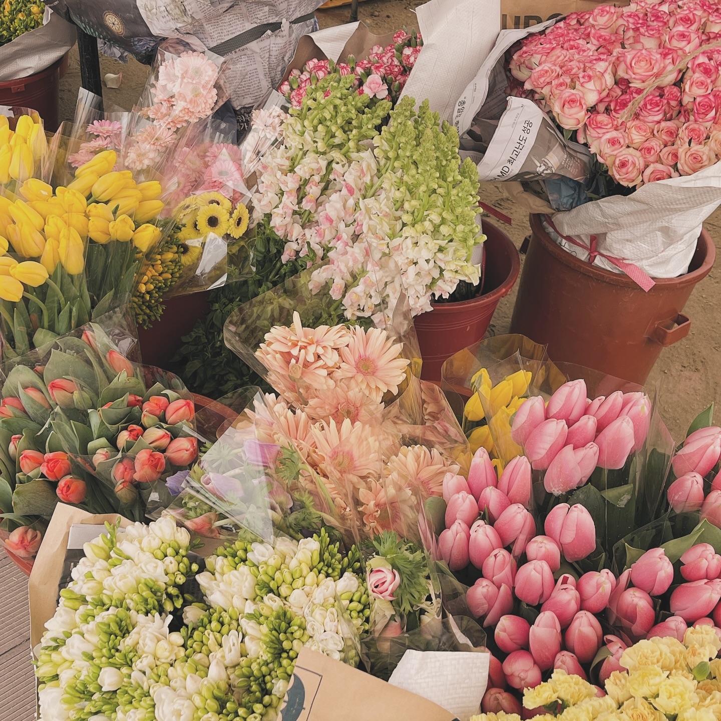 최애 꽃집🌷