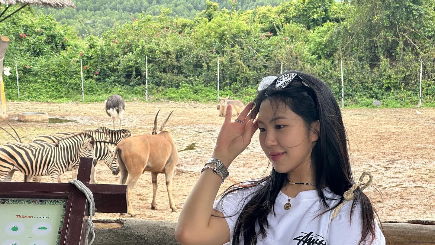 동물친구들🦒🐅🦓💖⭐️