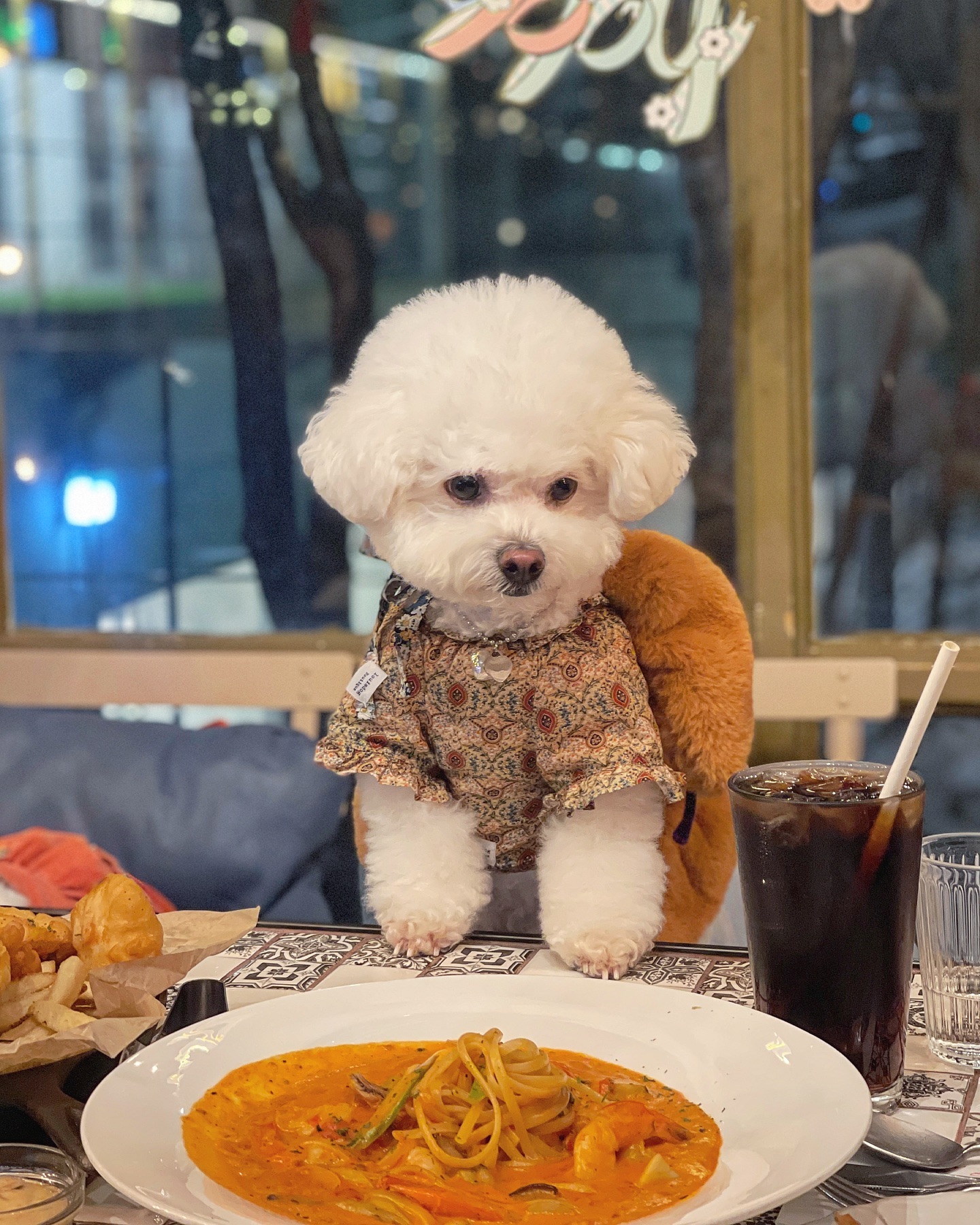 엄마미. 혼자 먹는구 아니지? 벱도 줄고지?

.

#비숑 #비숑프리제 #비숑스타그램 #bichonfrise #bichon #dog #instadog #비숑미용 #신사맛집 #신사애견동반 #강남애견동반식당 #강남맛집
