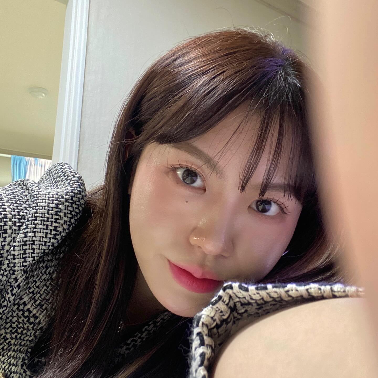 •ㅅ•