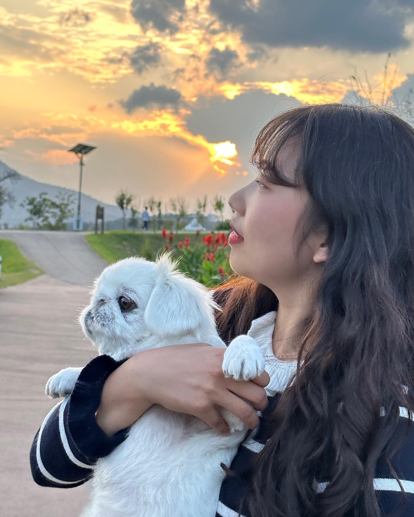 오늘은 두부 올리는 날 💗
힐링이 필요할 땐 역시 두부 >.<
.
.
.
#상주 #여행 #강아지 #페키니즈 #멍친 #멍스타그램 #daliy #daliylook #dm #28 #ootd