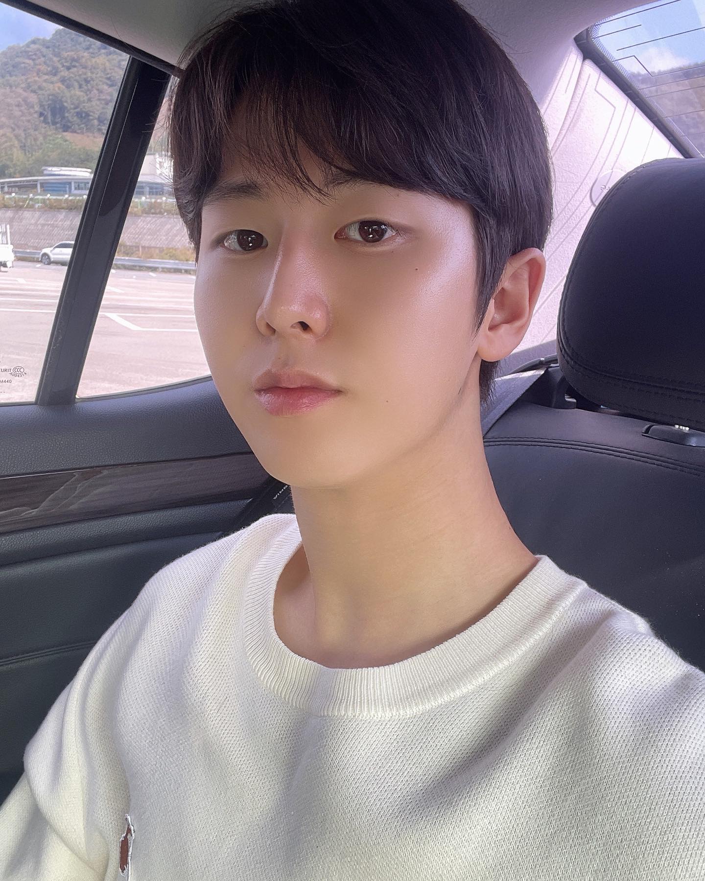 콘텐츠