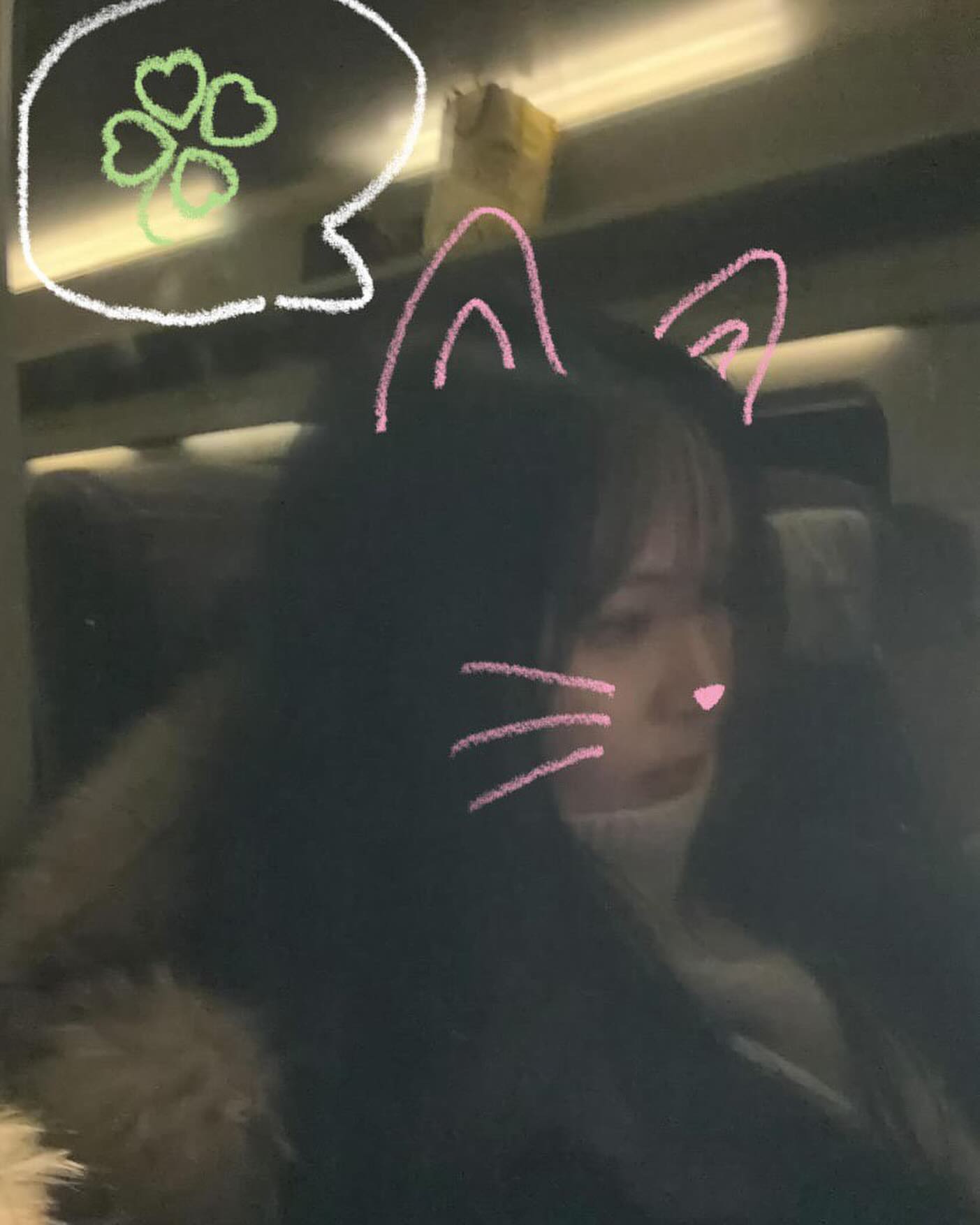 🐰🐱🐶