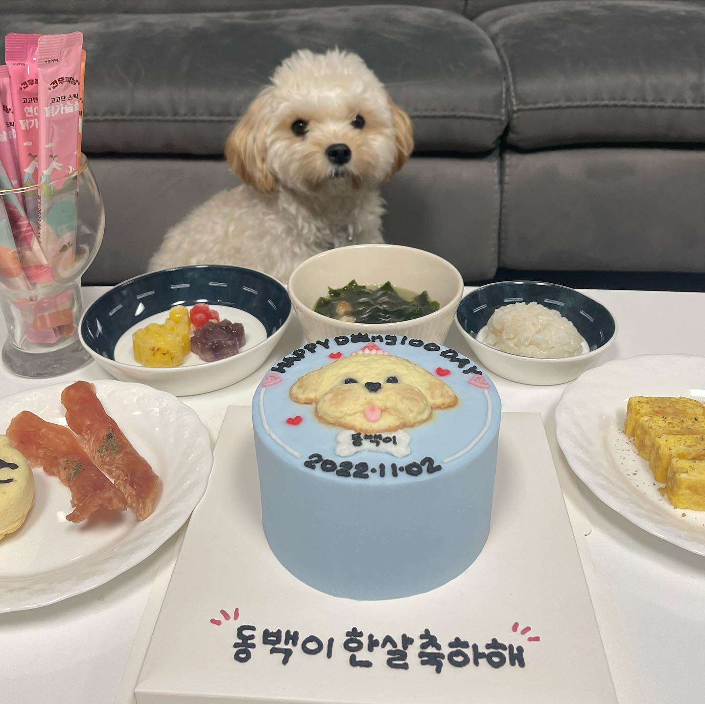 동백이 생일축하해🤍🎉🤍🎉