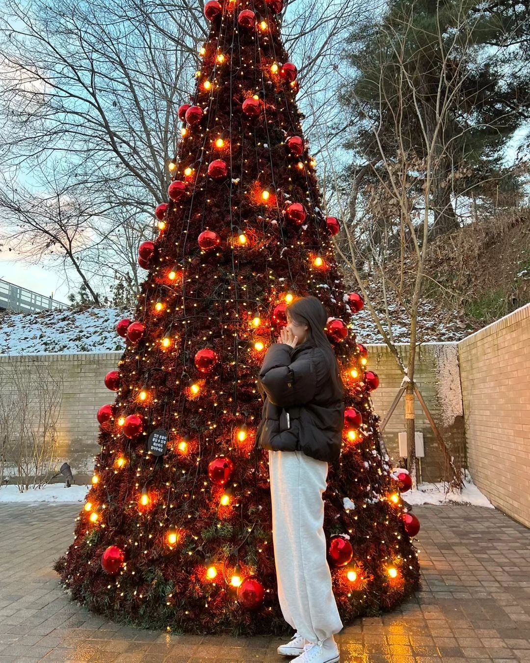 메리크리스마스 🎄