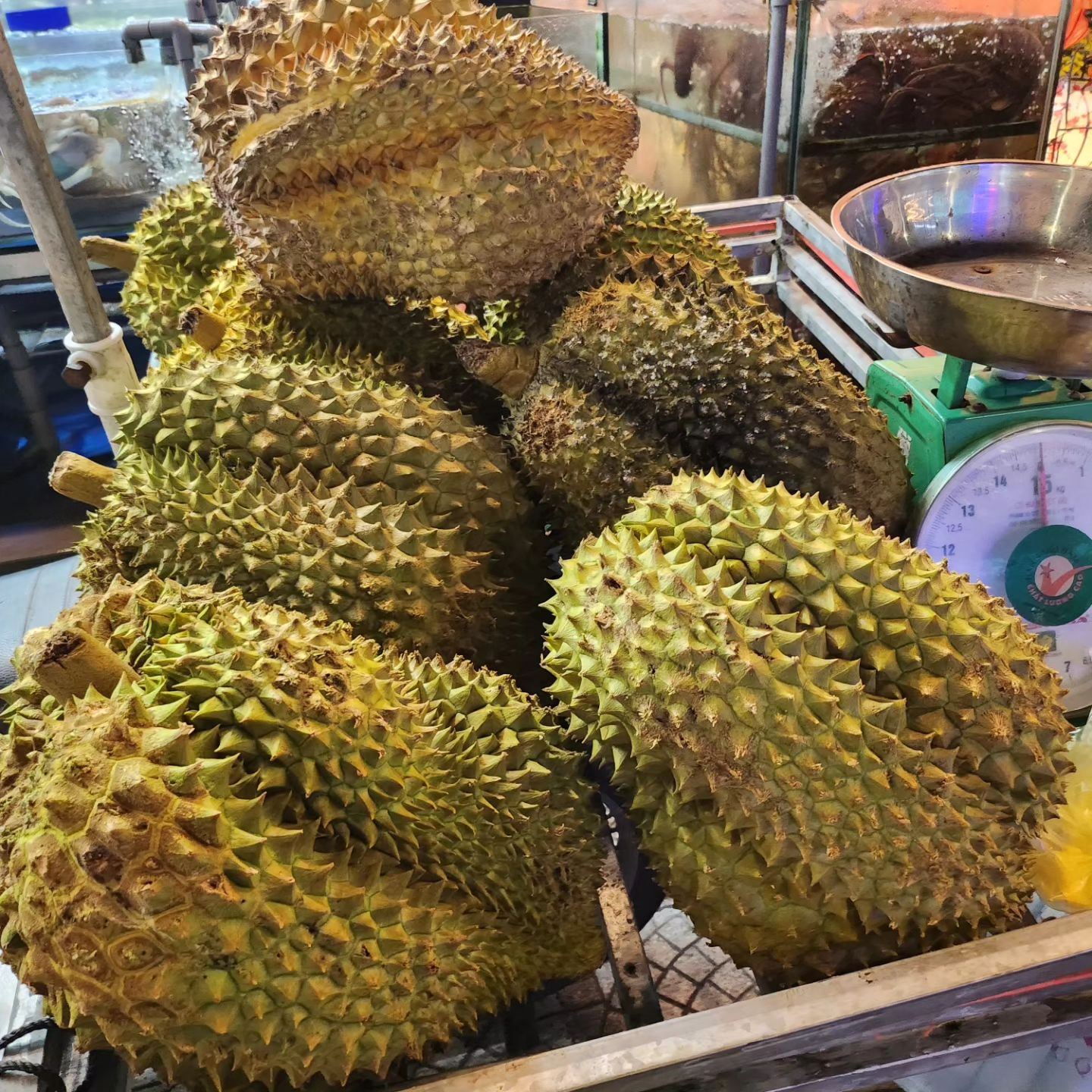 두리안,석가,잭푸르츠,패션푸르츠,용과, 기타 등등
열대과일 맛보기~
역시나 제일 맛난건 망고~
