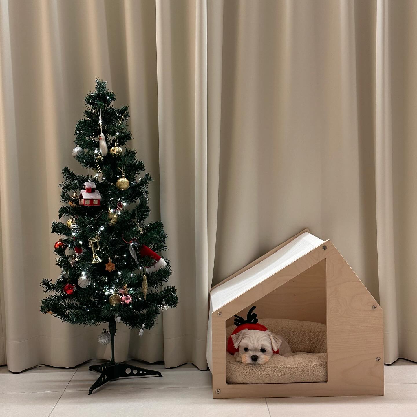 🎄 크리스마스 트리 하나 포인트 줬는데..❤️
기부니가 아주 좋아요~~ 
올해 크리스마스에는 따수함이 가득하길

#크리스마스트리🎄 
#크리스마스#크리스마스장식 
#트리꾸미기🎄