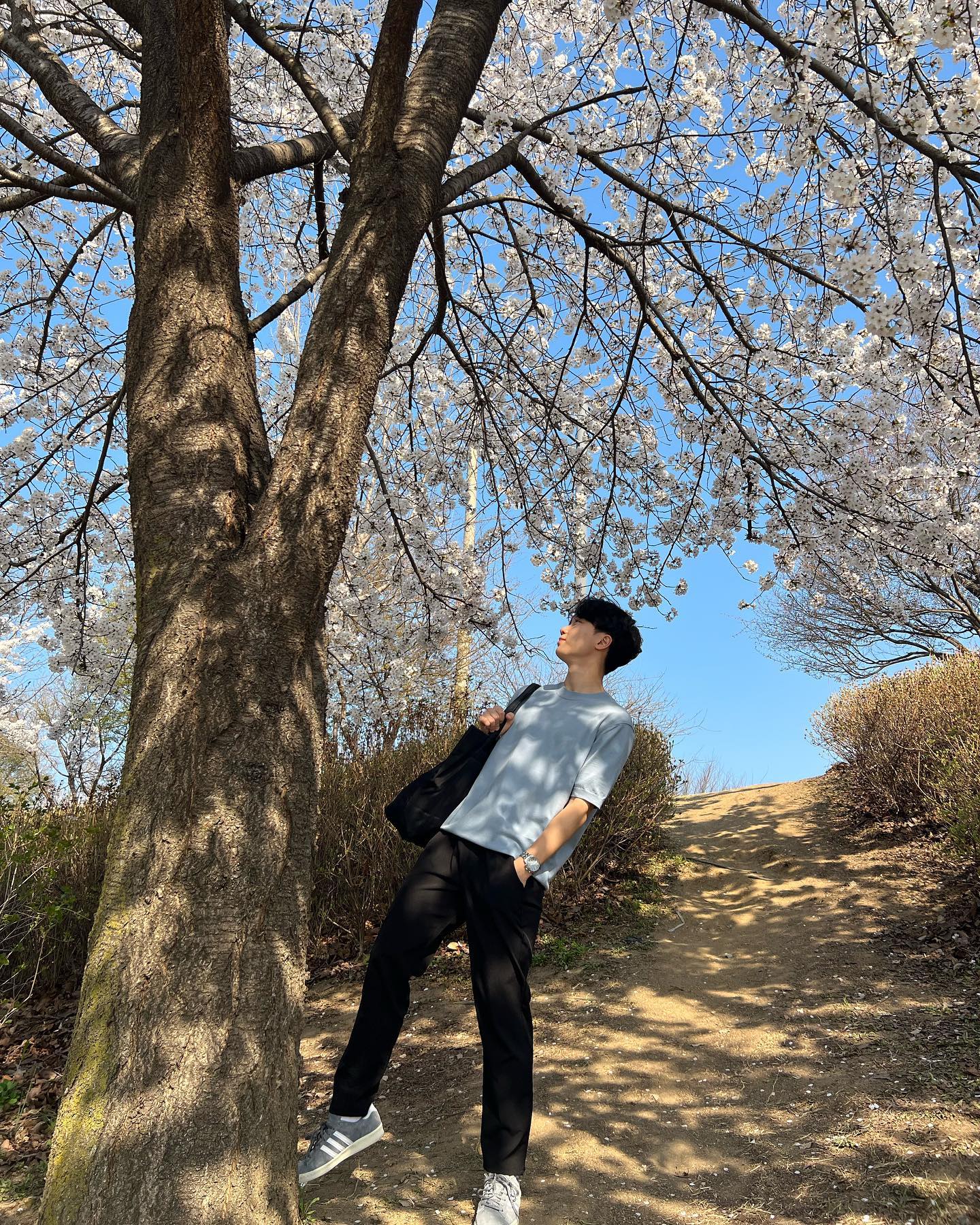 🌸
#벚꽃#춘천#공지천#04#대학생
#인스타그램