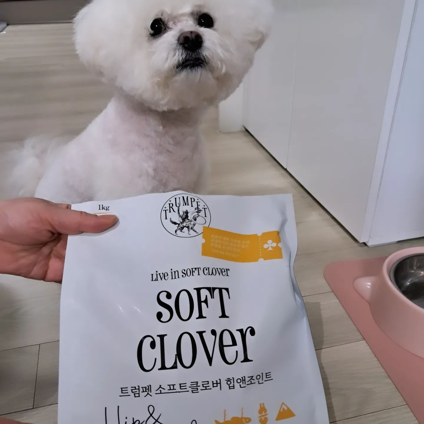 #협찬 트럼펫 소프트 클로버힙앤조인트(황태) 
강아지사료 

🐕🐶 울댕댕이가 너무애정하는 사료인데요 잘먹기도하지만 영양까지 !!노령견이 돼가는 과정에 말랑 하면서도씹히는 맛까지 너무좋아해서 넘잘먹어서  걱정인사료네요 😆😆
🐕🐶비프 먹이다가 관절이 약한 울댕댕이 황태 시켜줬더니 요것도 순삭 ~~♡♡
🐕🐶요요~~좋은 사료는요 상품 개발자 강아지가 밥 안먹어서 반려동물 영양사와 직접 만든 사료라서 그런가요 ??
넘잘먹어요 순삭순삭 밥안먹는 댕댕이들 모여 ~~~♡♡
🐕🐶사료 모양이 세잎/네잎 클로버라 귀욤 귀욤 ~♡행운과 행복을 ~~♡
세심함이 느껴져요 !!
밥안먹는 댕댕이들 걱정마세요 강추~~♡♡

#협찬 #클로버사료 #행복사료 #행운사료 #강아지사료 #사료추천 #잘먹는사료 #강아지기호성 #기능성사료 #기호성테스트 #관절사료 #피부사료 #면역사료 #트럼펫사료 #트럼펫소프트클로버 #소프트클로버 #네잎클로버 #세잎클로버 #안먹으면말이안됨