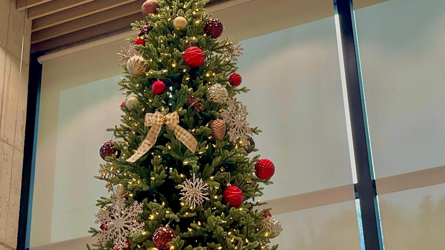 #연말 #트리 🎄💚