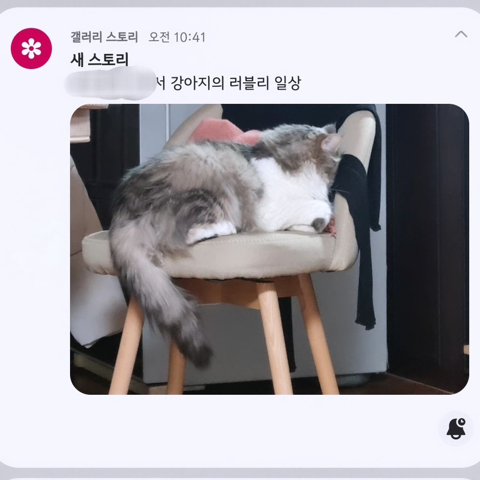 ㅇ ㅖ?

#강아지스타그램 #강아지시온 #멍멍