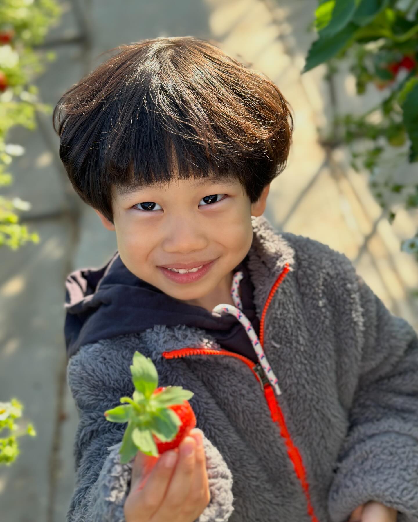 사장님에게 시즌 첫 딸기 수확 체험 연락받고 총총총 🍓
형아없이 둥이들이랑 다녀오기 👨‍👩‍👦‍👦

예쁘고 큰거 잘 고르는 둥이들 😊😊😊

#딸기체험농장 
#주말기록
#둥이일상
