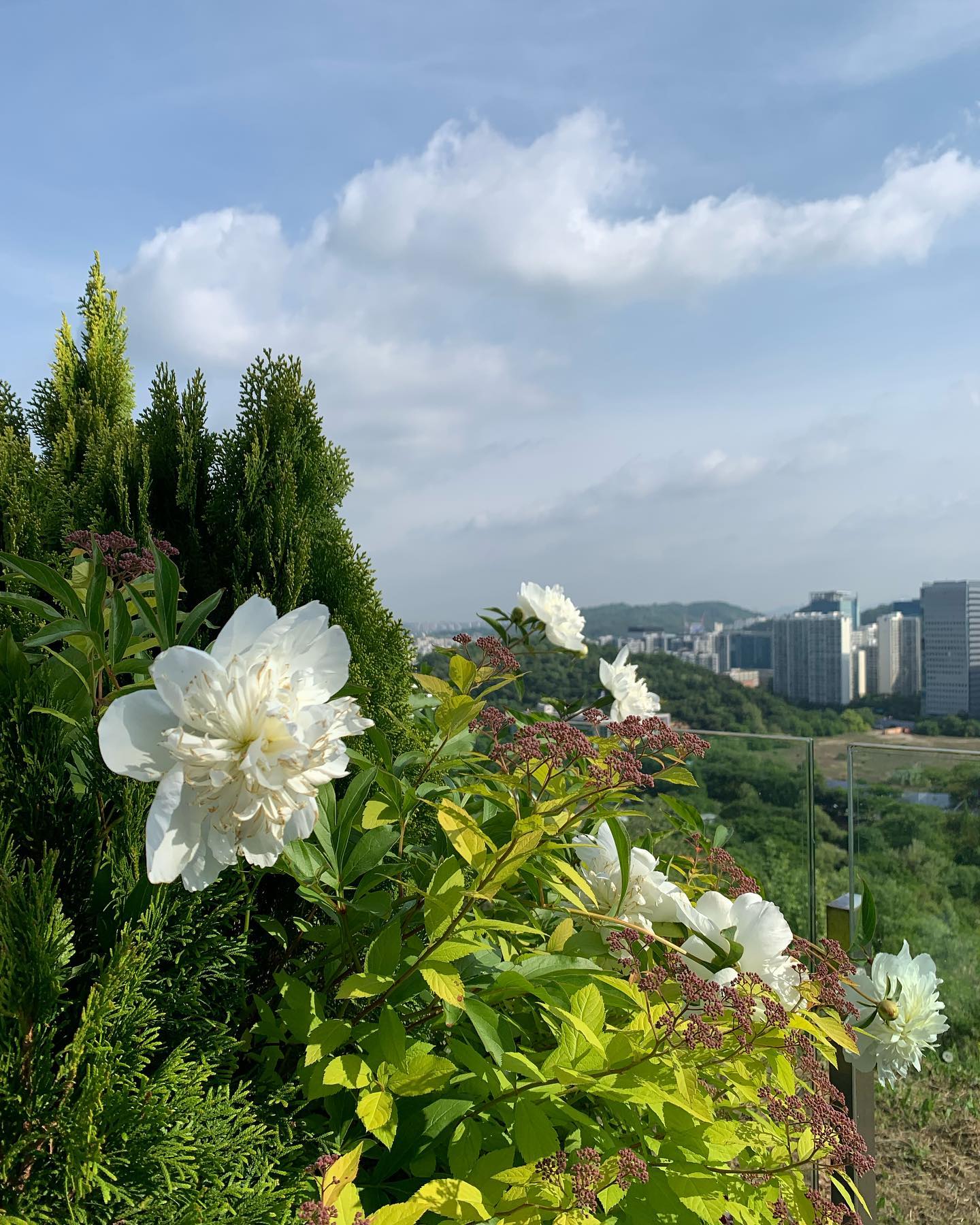 .
내사랑 월드컵 공원과 난지한강 기록
이제 편도 1시간이라 슬프다,,,🚲
직장 학교 가까운 곳에서 사는게 최고지만 그냥 상암에서 일하고 상암에서 살고 싶어요 …
