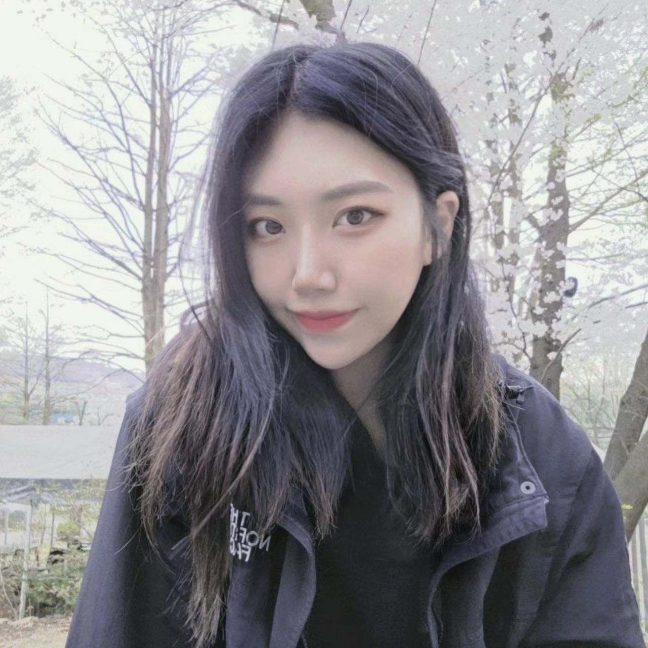 애카 간 김에 꽃놀이