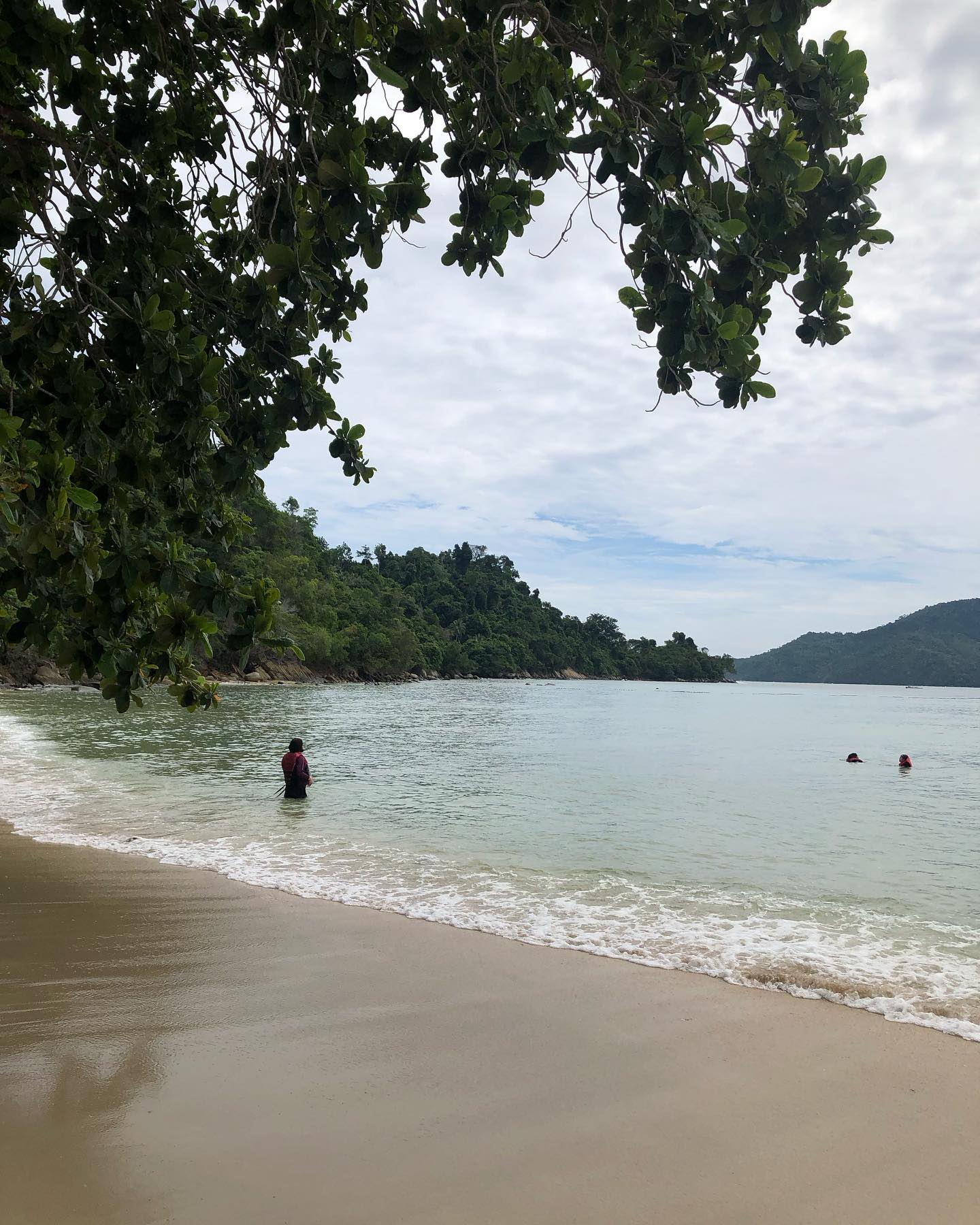 행복은 멀리 있다 !🐟🪸🏖️🥴