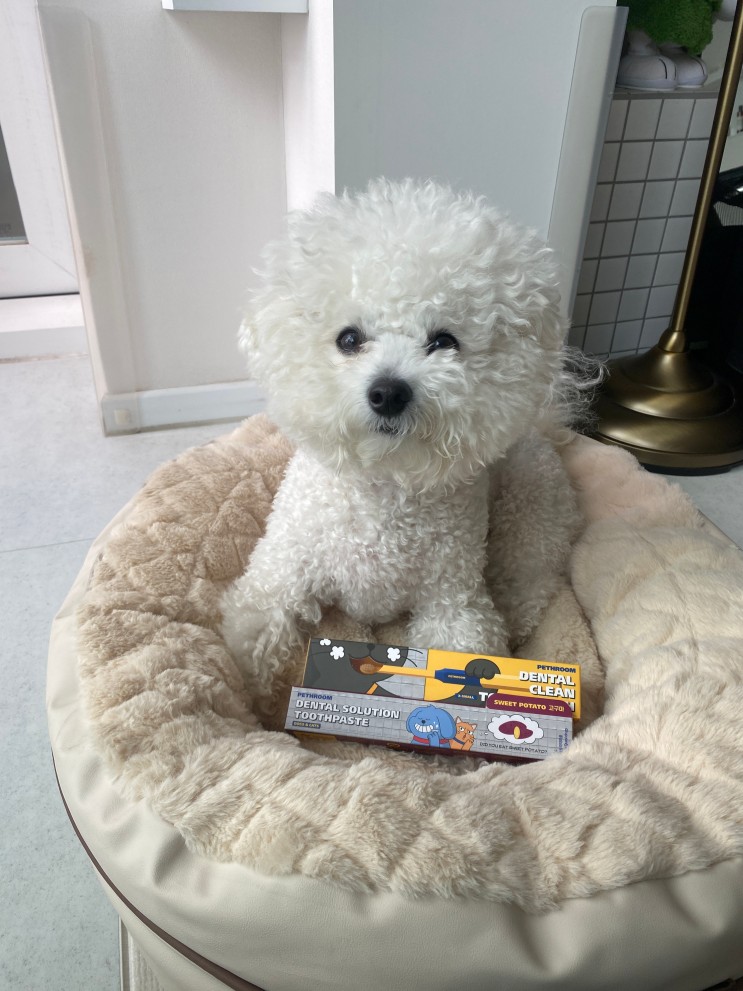 페스룸치약칫솔 강아지칫솔 덴탈케어세트 직접 써봄!
