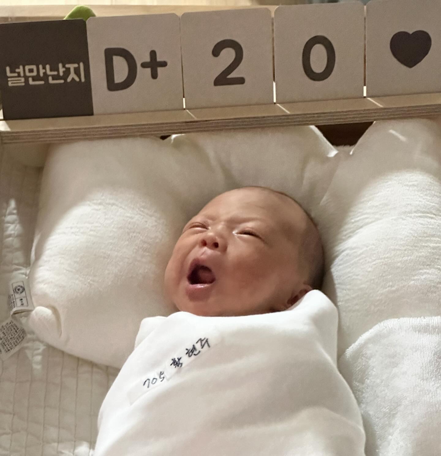 메리 +20🧡

몸무게 50g ⬆️⬆️ 모자동실 맘마도 잘먹고, 잘자구, 잘싸구
집가서도 잘해주길🙏😅

조리원생활 2일차, 서우랑 같이 오길 잘했다 싶음🤭
피곤하지만 그래도 시간은 엄청빨리가네 
오전 모자동실, 캥거루케어, 마사지, 캥거루케어, 남편방문, 모자동실 , 이제야 제대로 누워보는군😁 

애비가 고생이많다 ㅋㅋㅋㅋㅋ 우리우유도보고싶다😳🥹

나의 무료한 조리원 생활의 한줄기 수다를 떨어주는 현지언니와 혜아덕에 덜심심😆 오늘은 푹자보자😌제발..

그나저나 5월에 알바할사람 구해요, 맛잇는거 왕창사줌ㅋㅋㅋ

#조리원라이프 #소중한맘산후조리원 #조리원 #조리원생활
#육아일기 #육아스타그램 #서우맘 #베이비스타그램 #데일리
#일상 #baby #육아소통 #🧡 #캥거루케어 #행복하자 #애개육아