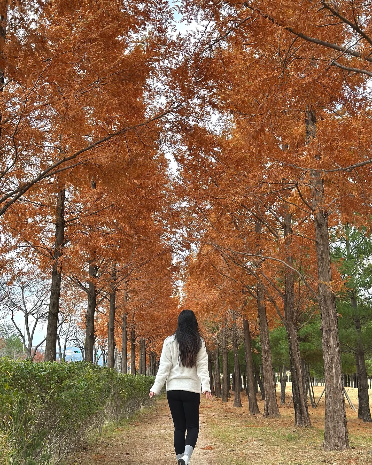 동네 여기저기 매일 걸으면서 돌아다니는 요즘 🍂🍁

#단풍구경 #매일걷기