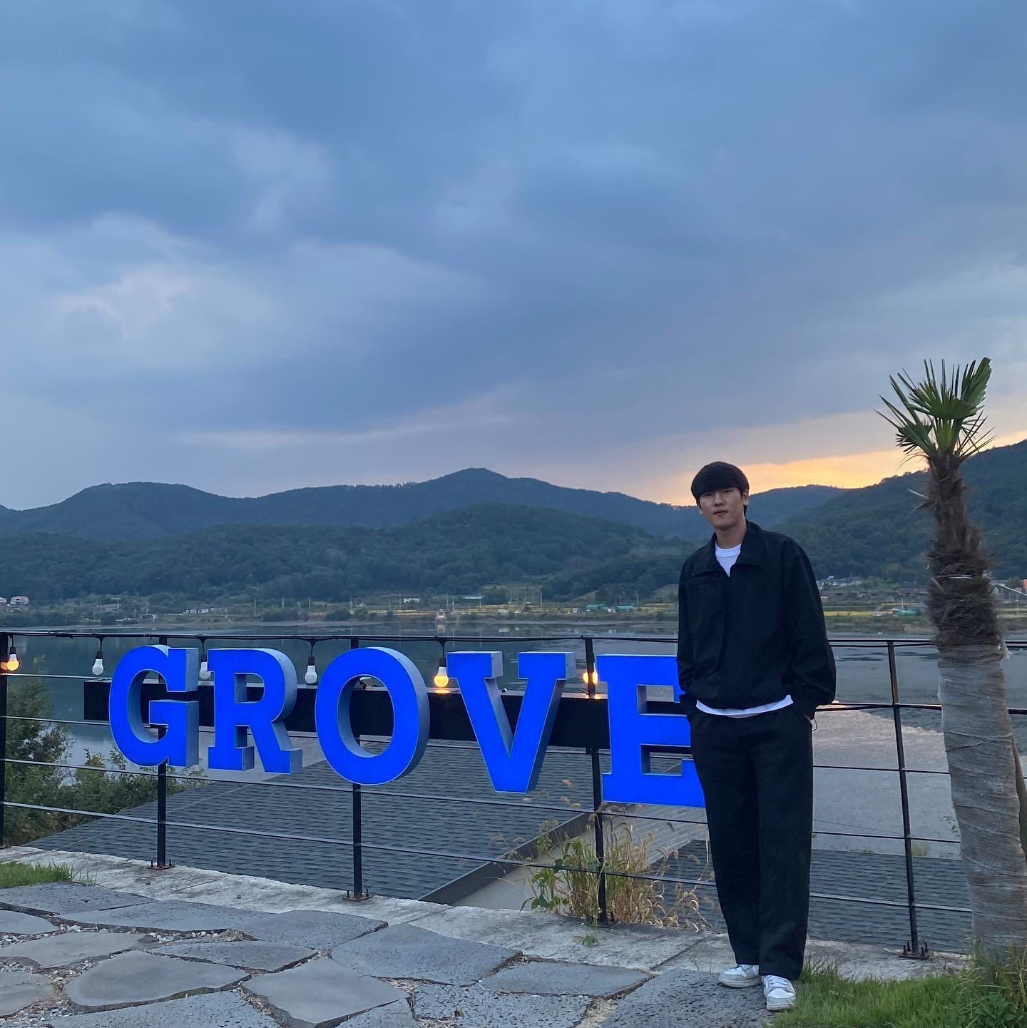 GROVE🌿
