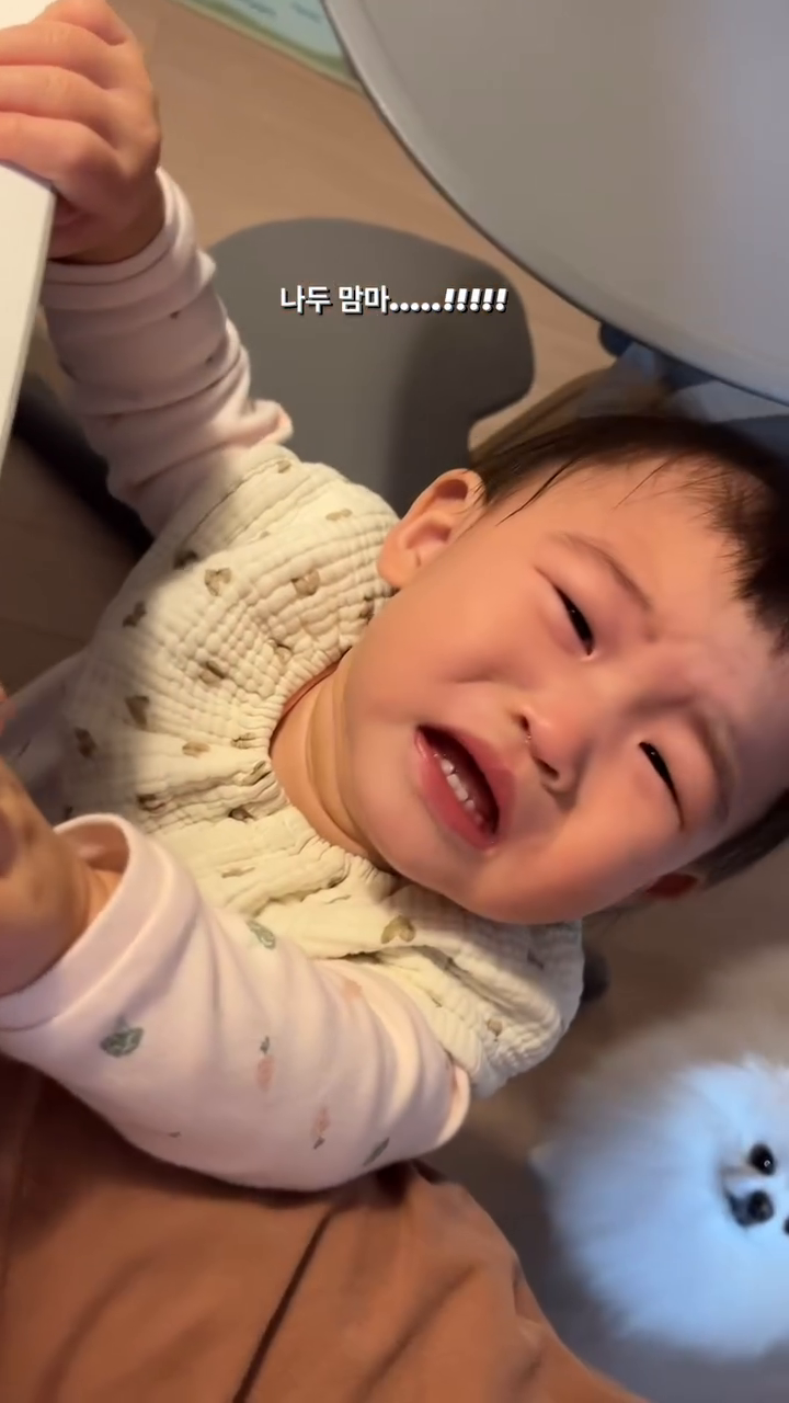 이제 사람 밥 먹눈다고.....
엄마 맘마시간 때마다 방해함 🐷🐷