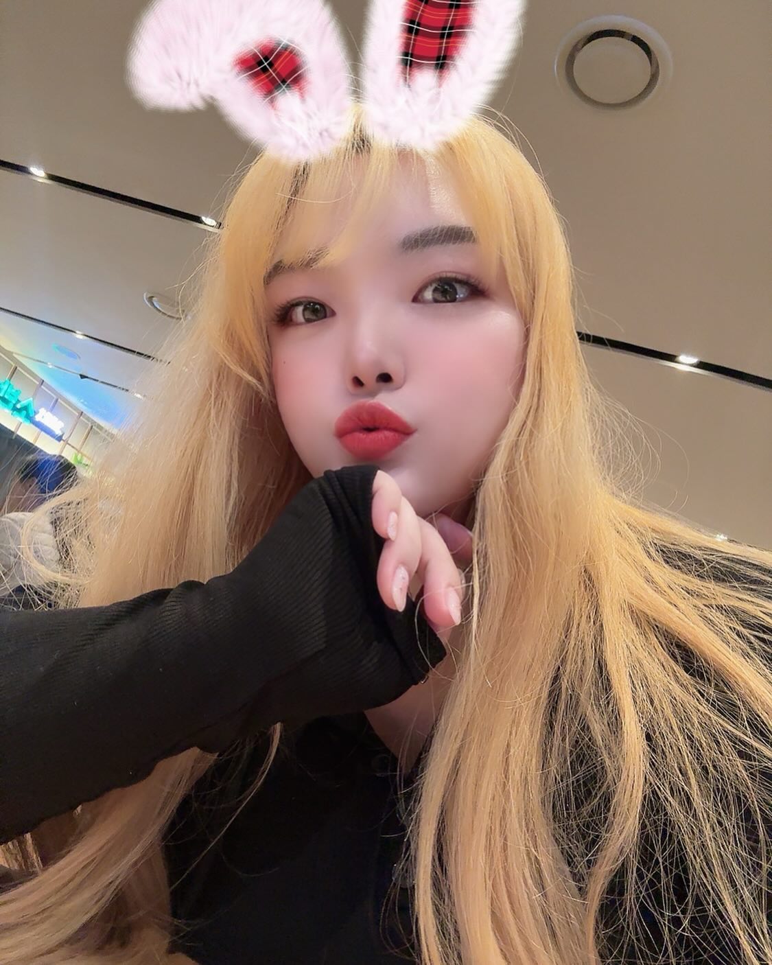 🐰