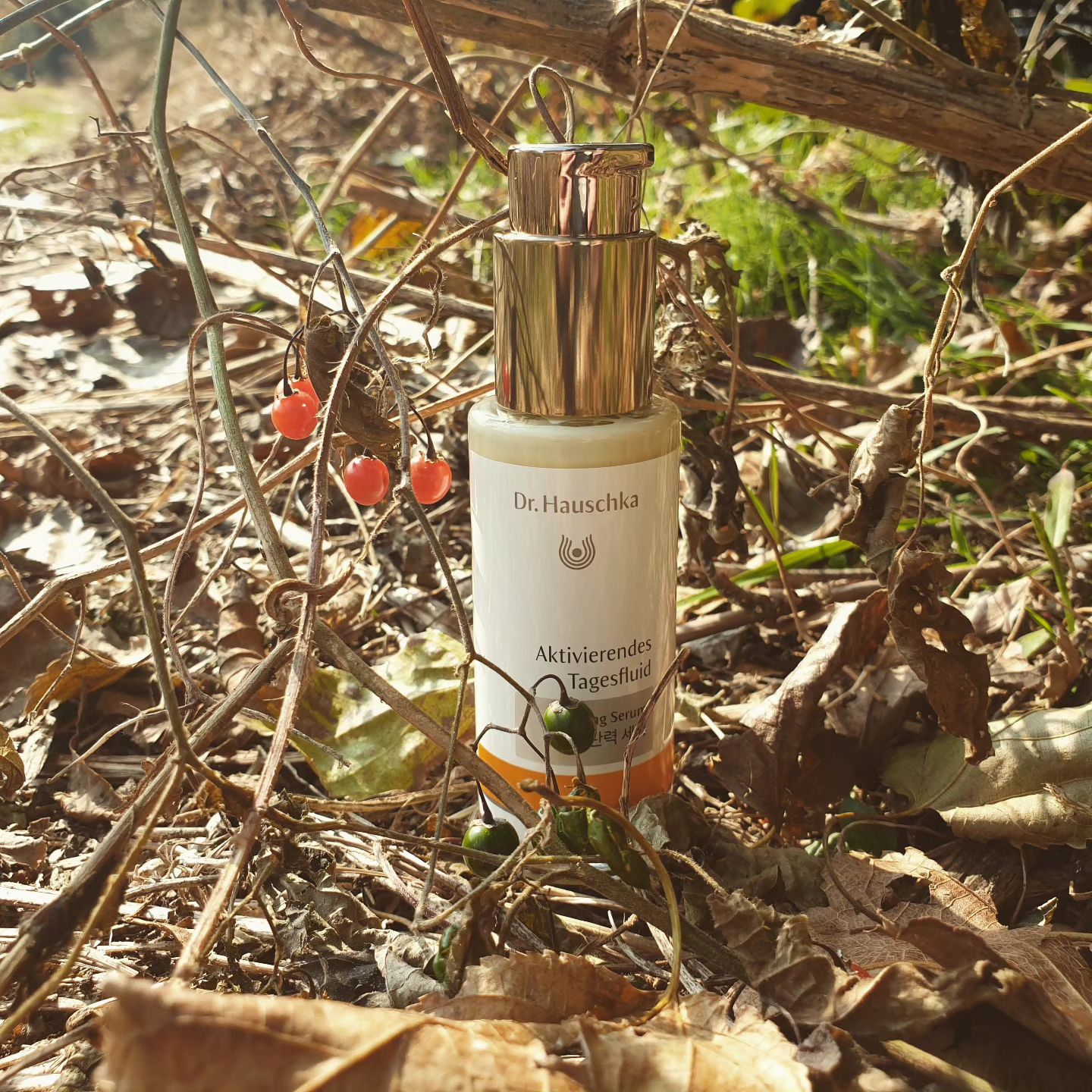 #협찬

Dr. Hauschka
탄력 세럼

🌱 유기농 인증 최고 등급
  유기농 원료 95% 함유

🌱 자연유래 12가지 식물 유효 성분 

🌱 민감성 피부 적합성 시험 0.00
  일차 자극 평가 시험 0.00

독일 유기농 농장에서 직접 키운 자연 원료로 
만들어진 모공 탄력 앰플 🌿

저를 독일 화장품에 눈을 뜨게한 브랜드 
닥터 하우쉬카입니다 !! 😉

탄력 세럼, 앰플들이 은근 끈적임이 느껴지는 제품들이 많아서 오래 정착할 제품을 고르기 힘들더라고요

닥터 하우쉬카 탄력 세럼은 
전혀 네버 !! 끈적임이 없는데다 
건성피부에 잘맞는 묵직하고 영양감있는 
사용감을 지녀서 전 사계절 내내 사용하고 있습니다.

지속 사용하면 피부가 전체적으로 부드러워지는데다 
모공 탄력이 올라가는 것도 
단 시간에 체감이 확 되서 신기하더라고요 

요근래 스트레스랑 수면부족으로 피부가 엉망이되서
사용 중인데 너무 압도적으로 저의 피부랑 잘 맞아서 
다른 제품이랑 병행을 안하게 되네요 ㅎㅎ
거의 단독으로만 사용 중입니다

민감성에 피부 탄력없는 건성피부 추천드립니다 !!
제발 써보세요..🌿

#닥터하우쉬카 #닥터하우쉬카세럼 #탄력세럼 #세럼추천 #세럼 #유기농 #유기농화장품 #오가닉 #오가닉화장품 #독일화장품 #화장품추천 #건성피부 #탄력케어 #모공탄력세럼