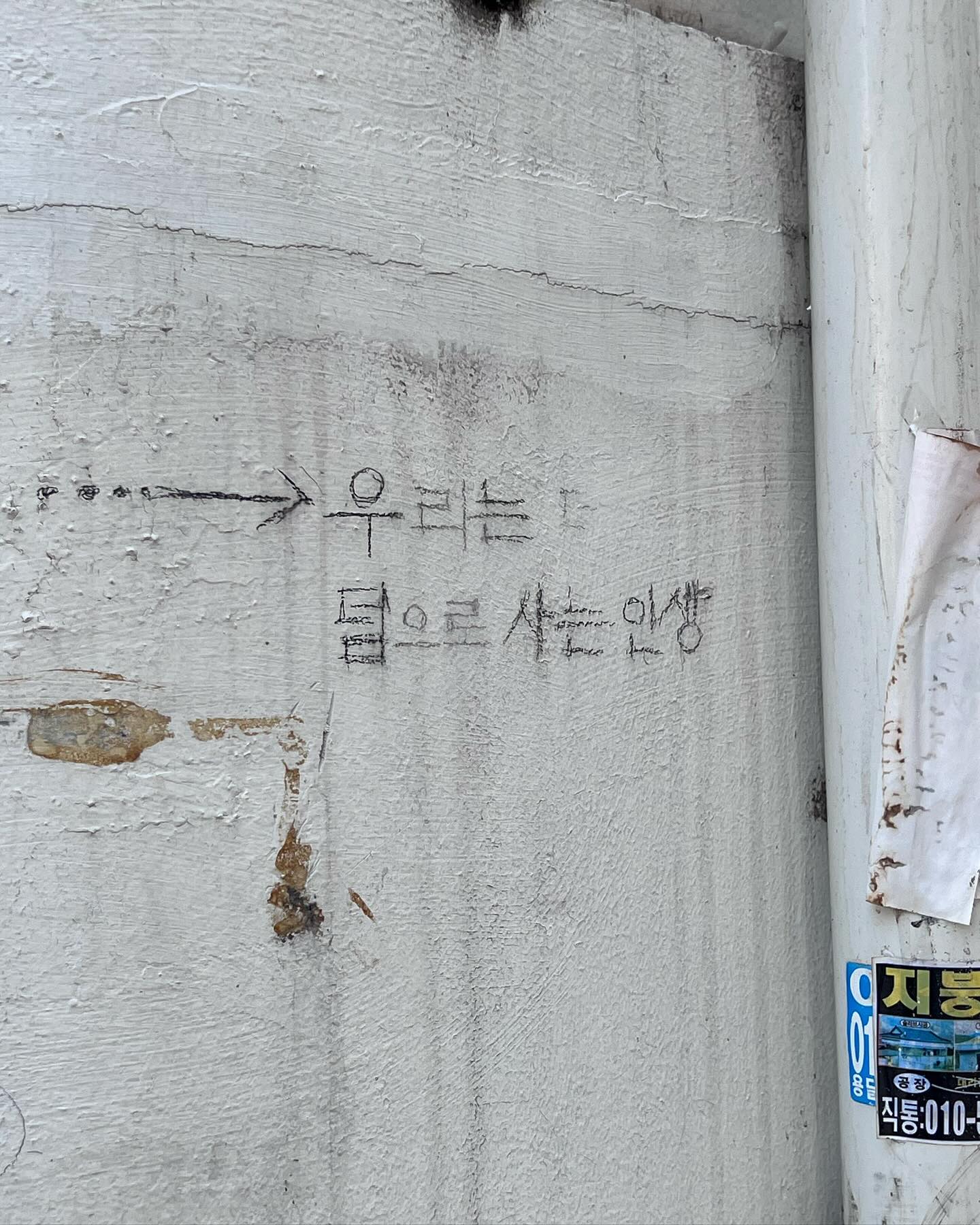 앨범 이모저모고모 ʕ•̫͡•ʕ•̫͡•ʔ•̫͡•ʔ•̫͡•ʕ•̫͡•ʔ•̫͡•ʕ•̫͡•ʕ•̫͡•ʔ•̫͡•ʔ•̫͡•ʕ•̫͡•ʔ•̫͡•ʔ