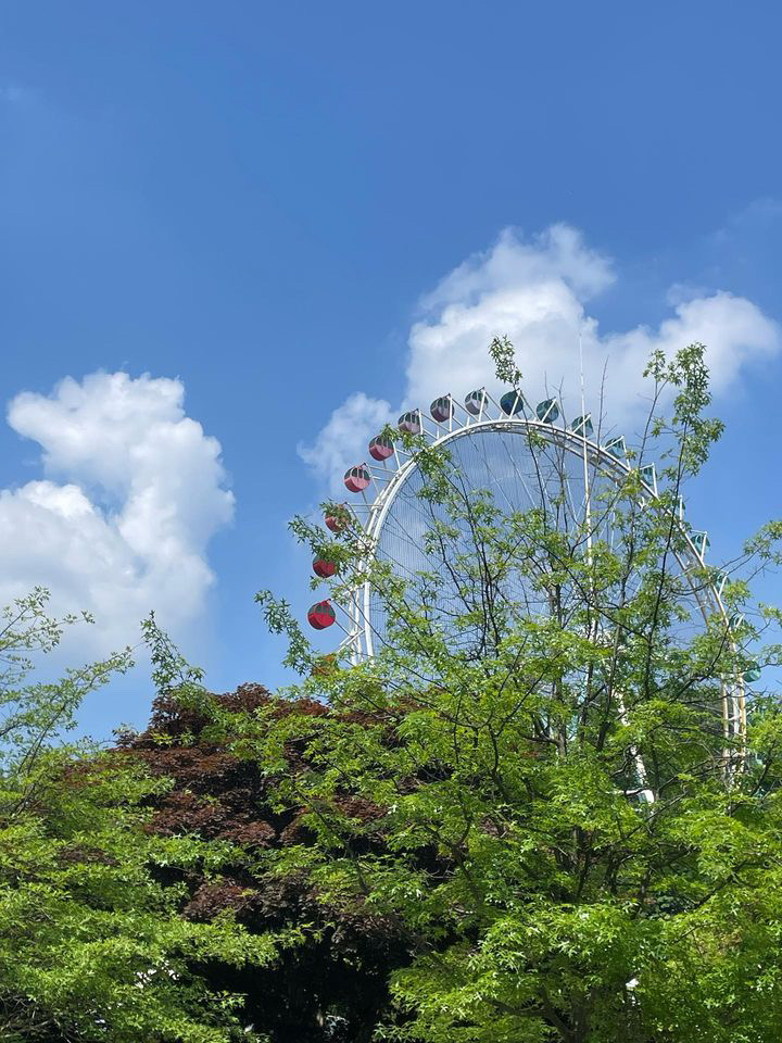 콘텐츠