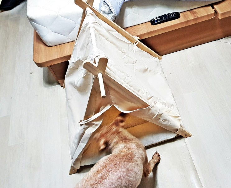 반려견을 위한 꽁냥꽁냥제이 강아지 숨숨집 원목하우스 대령이요!