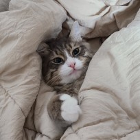 영수증은 저 주세요 : 네이버 블로그